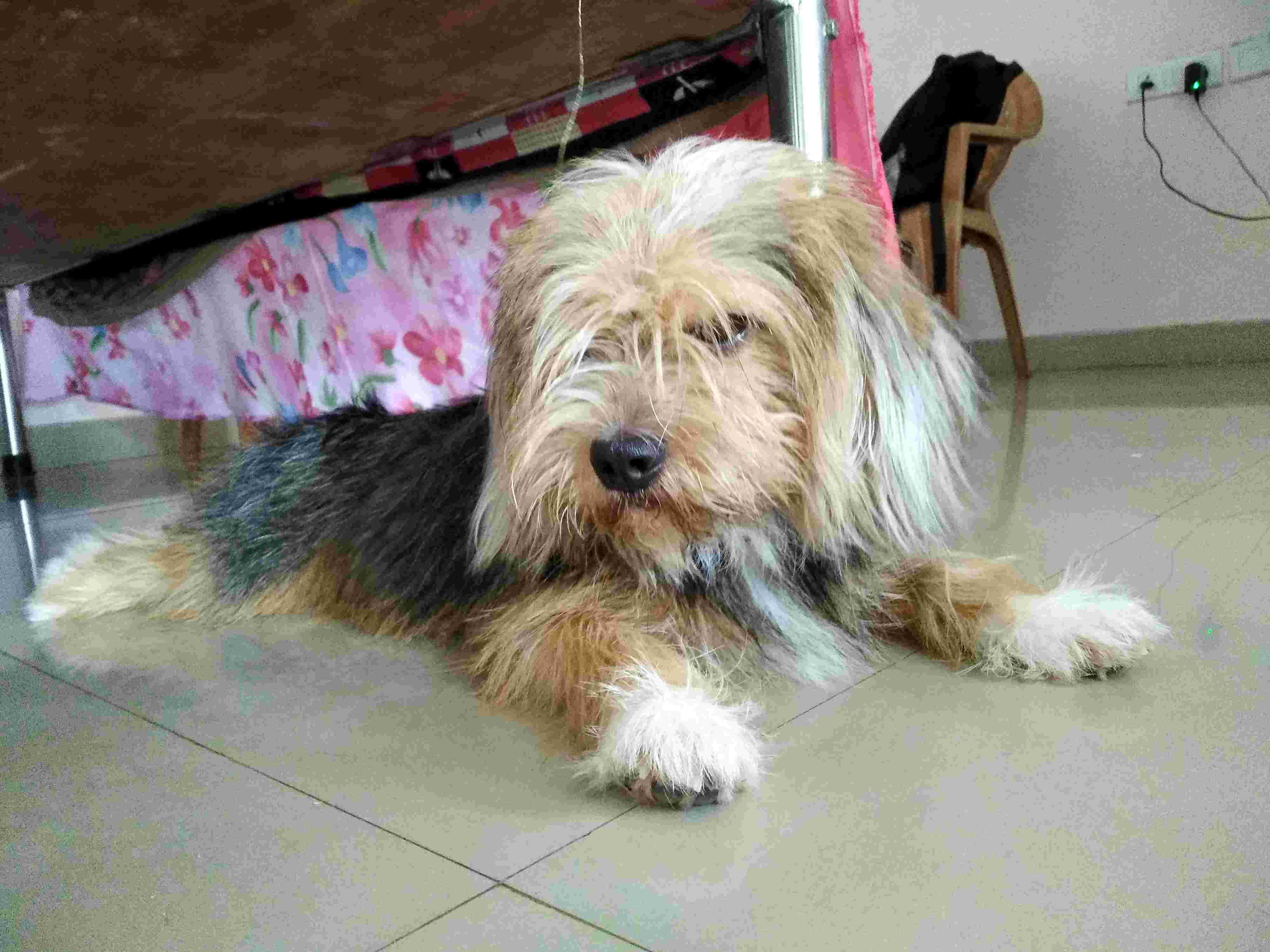 Question details sensitive content