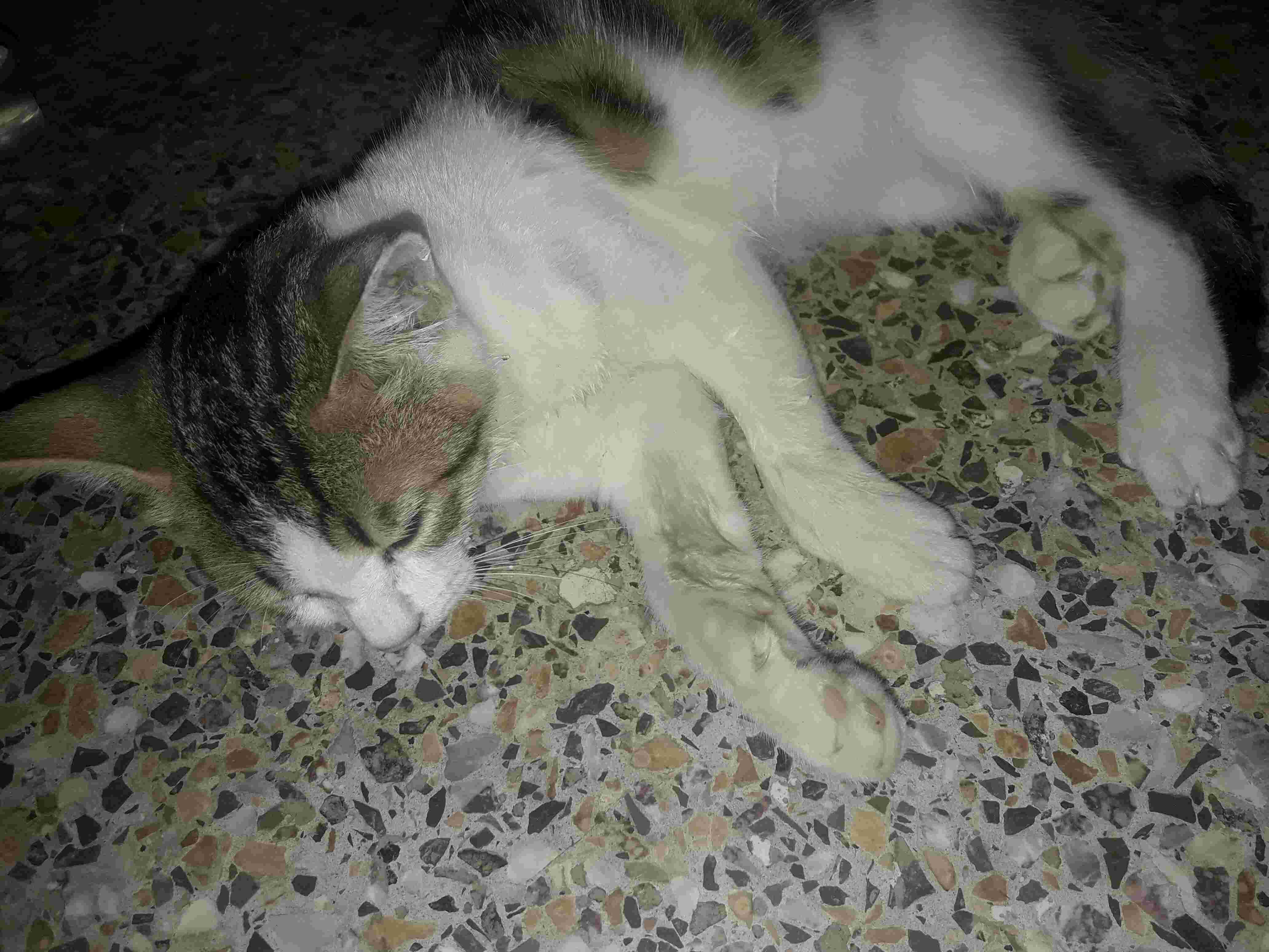 Question details sensitive content