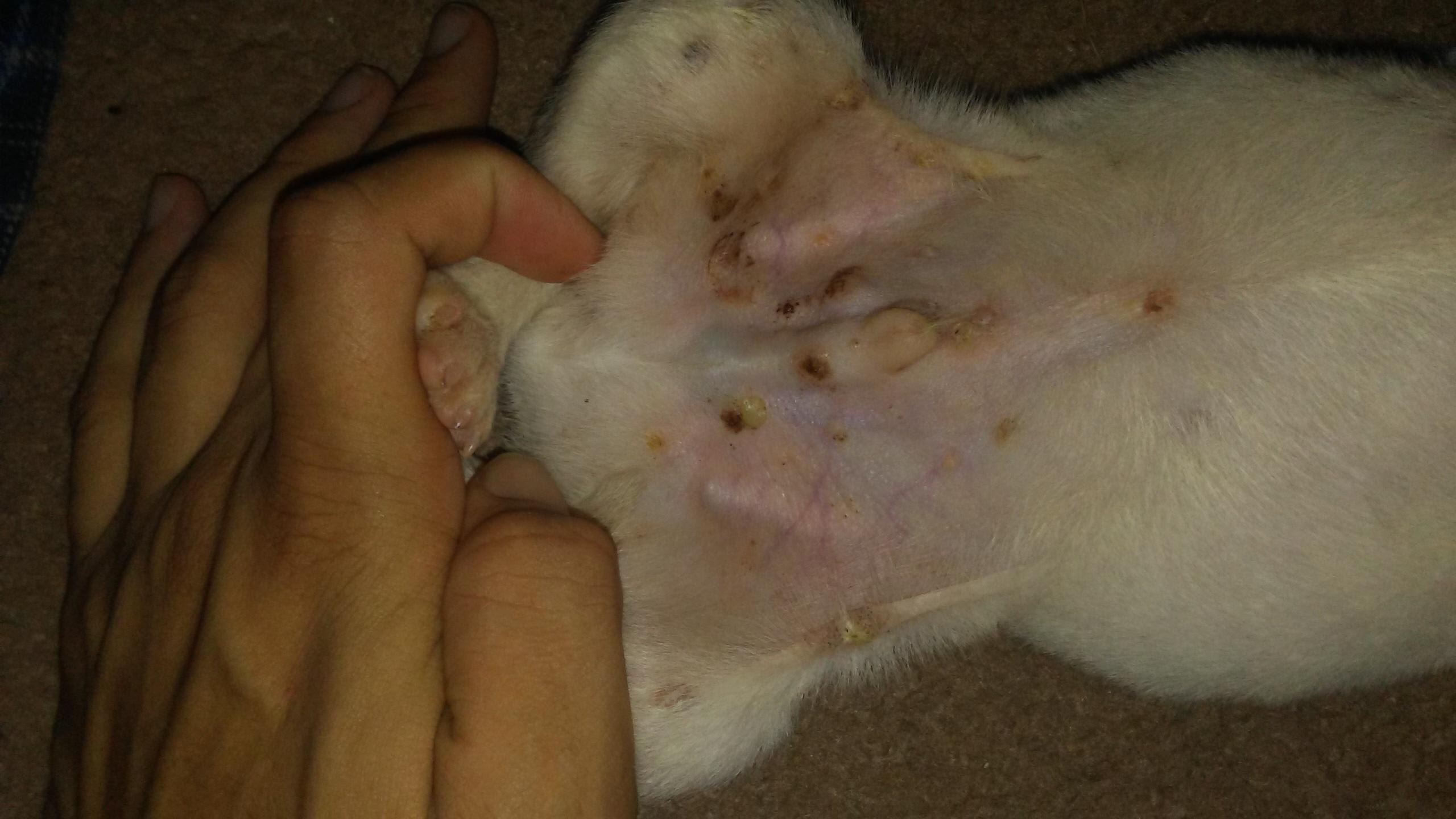 Question details sensitive content