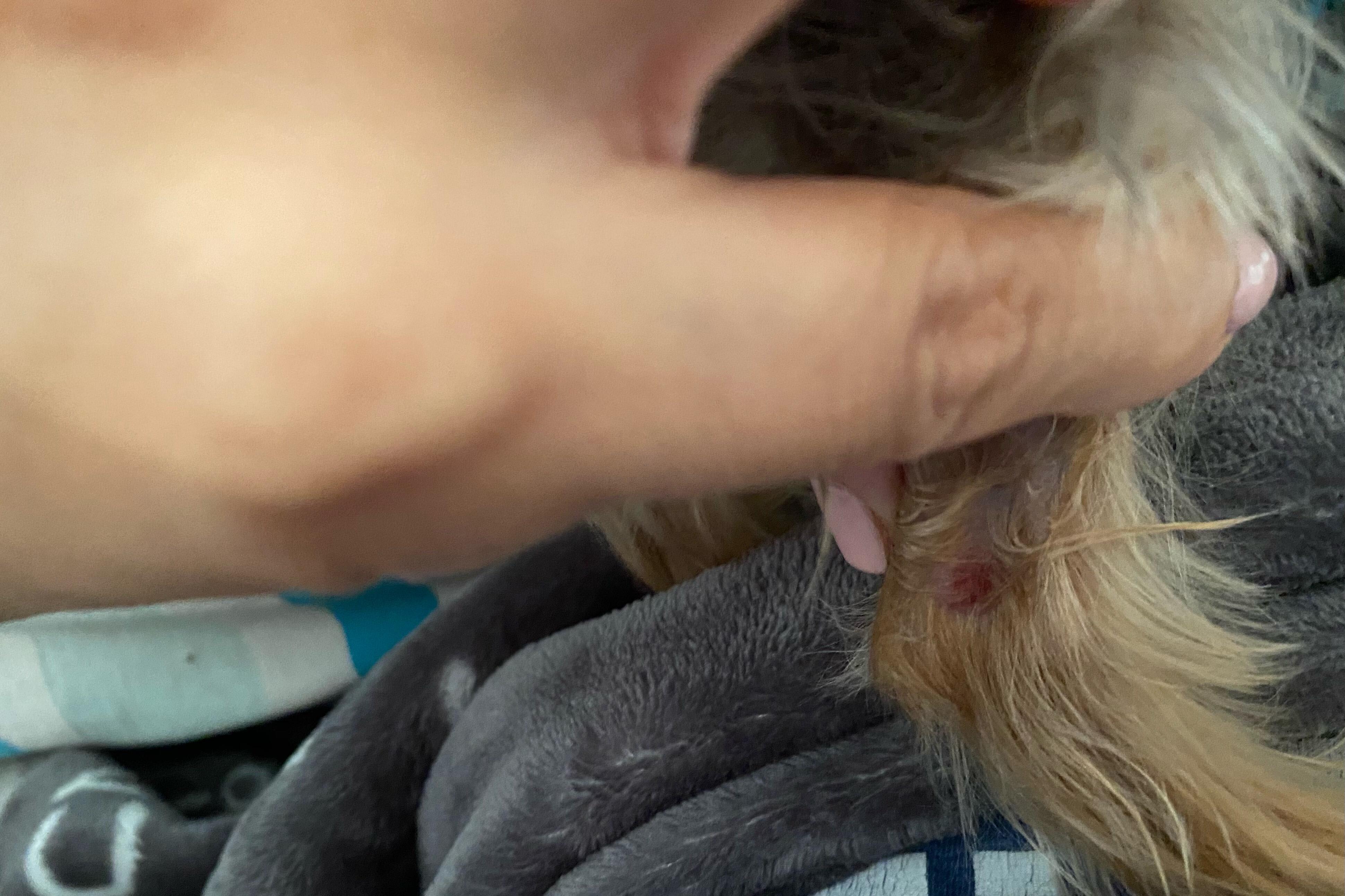 Question details sensitive content