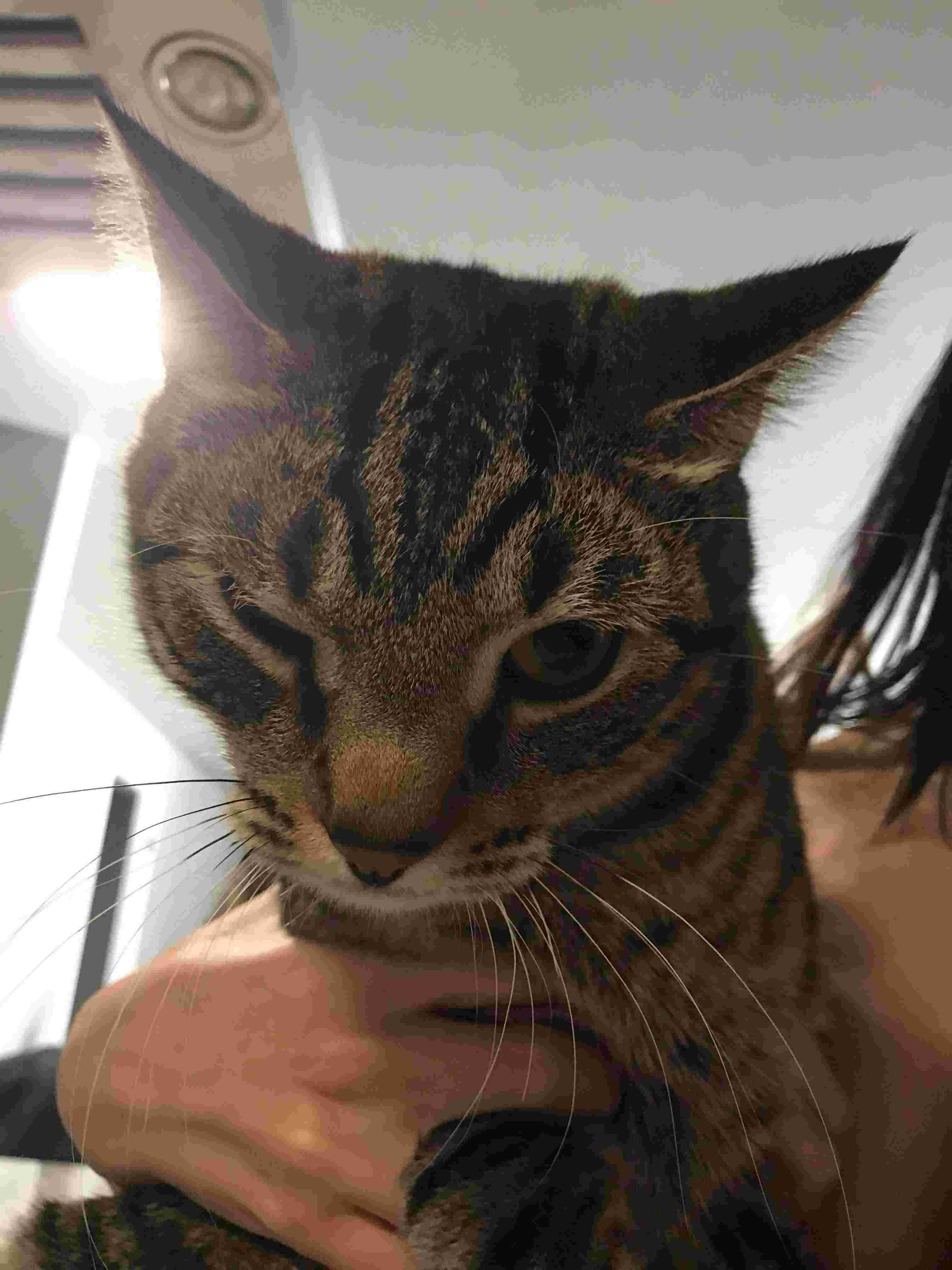 Question details sensitive content