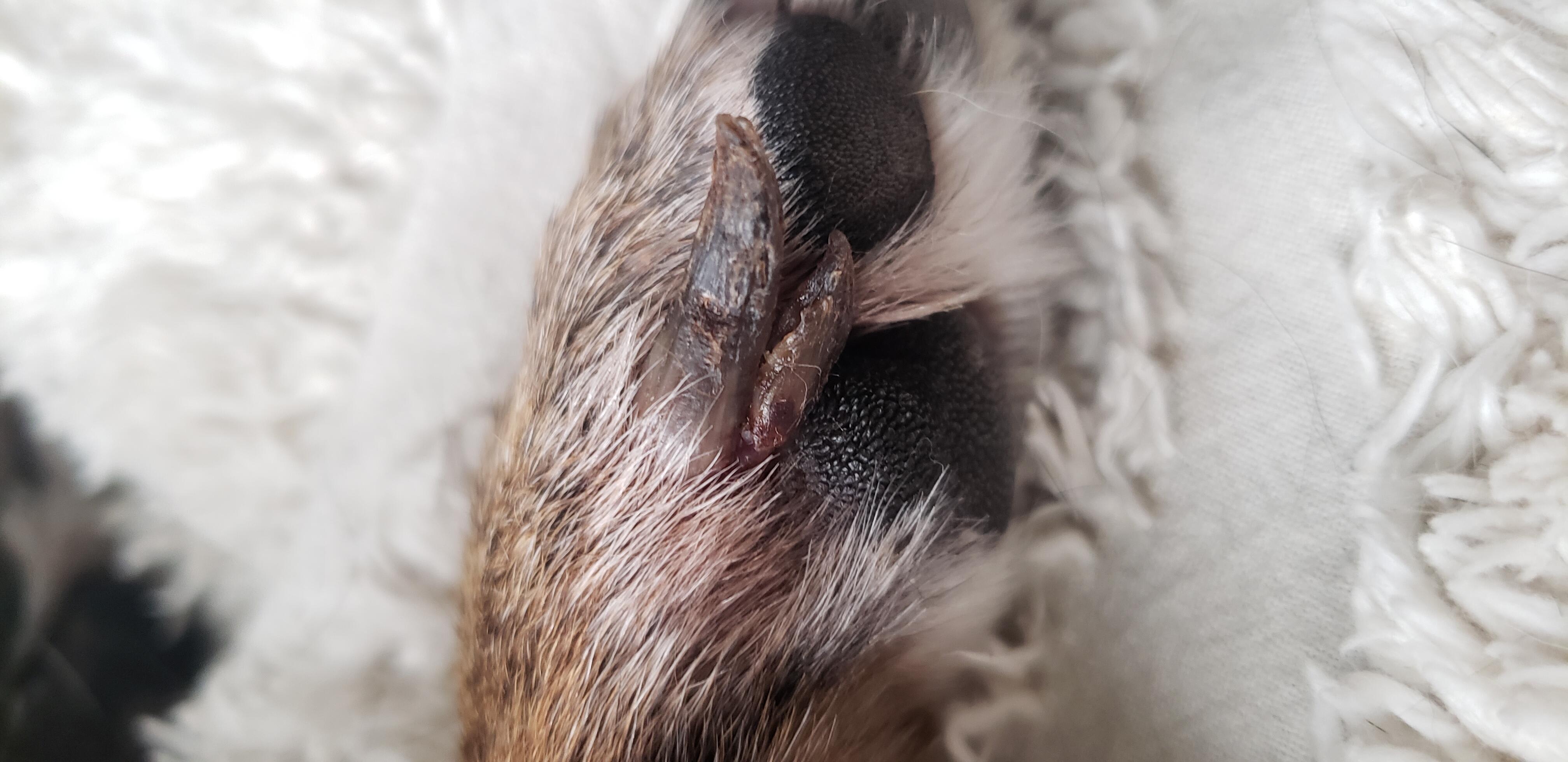 Question details sensitive content