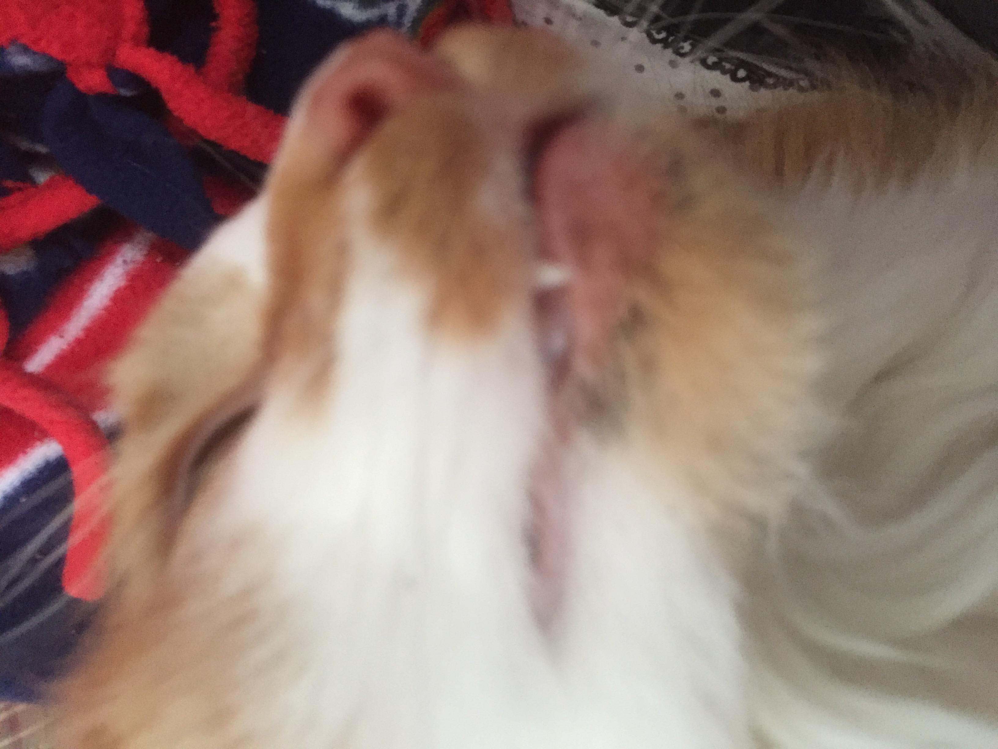 Question details sensitive content