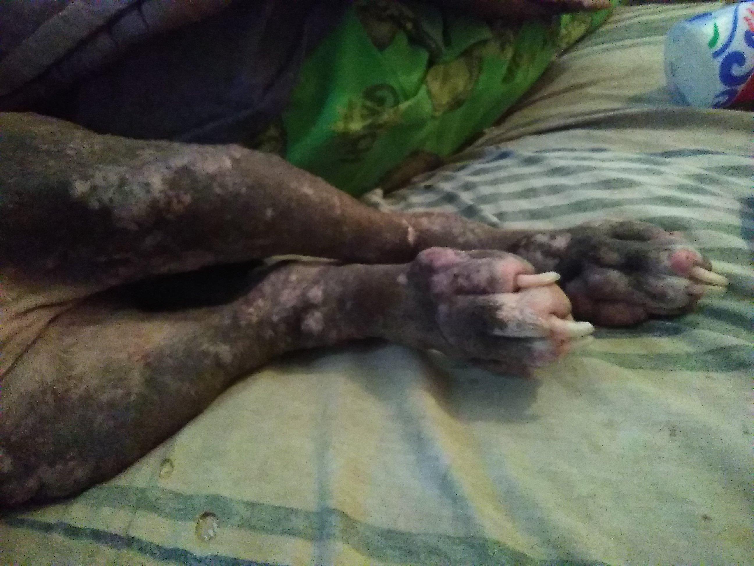 Question details sensitive content