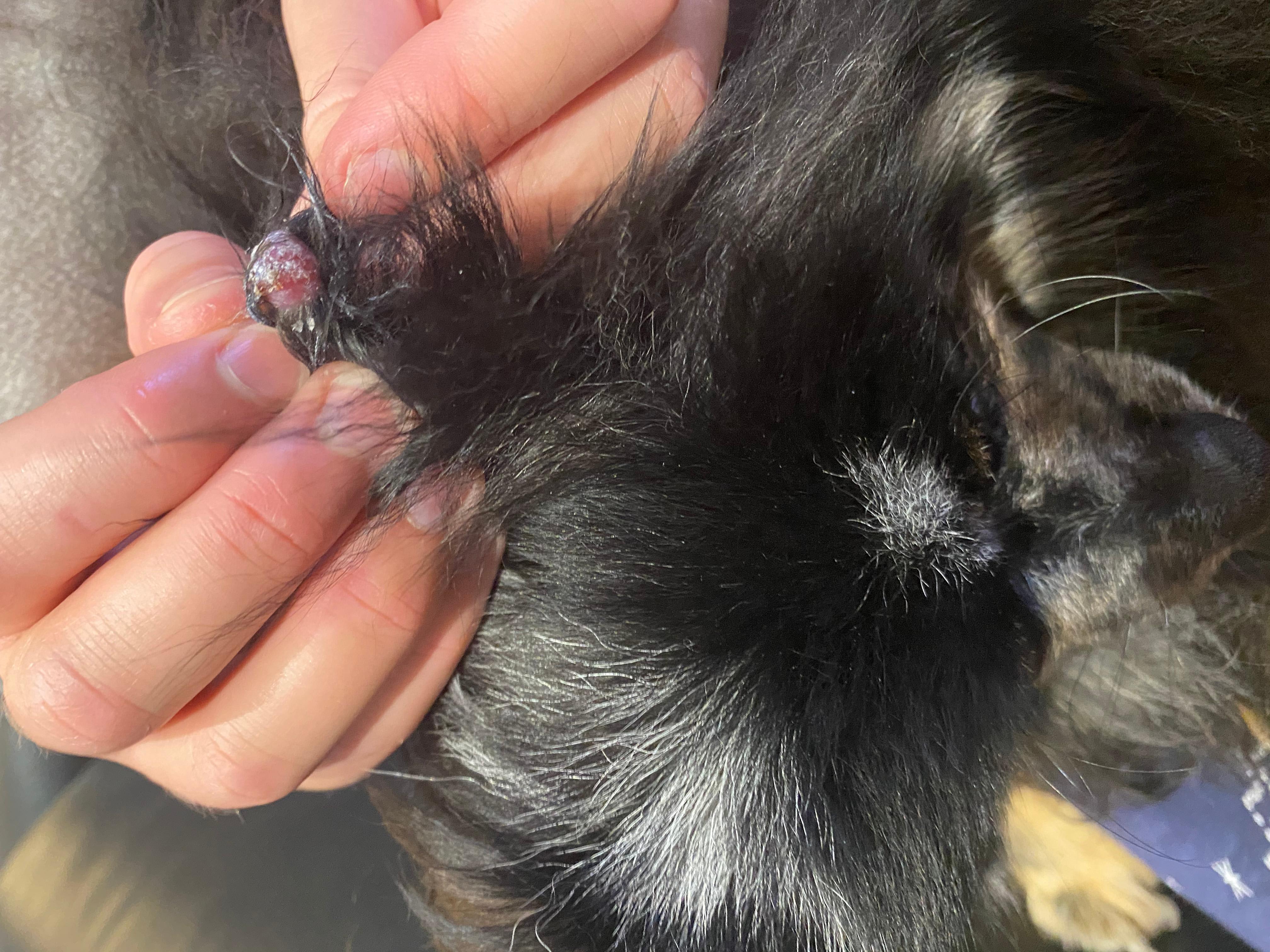 Question details sensitive content