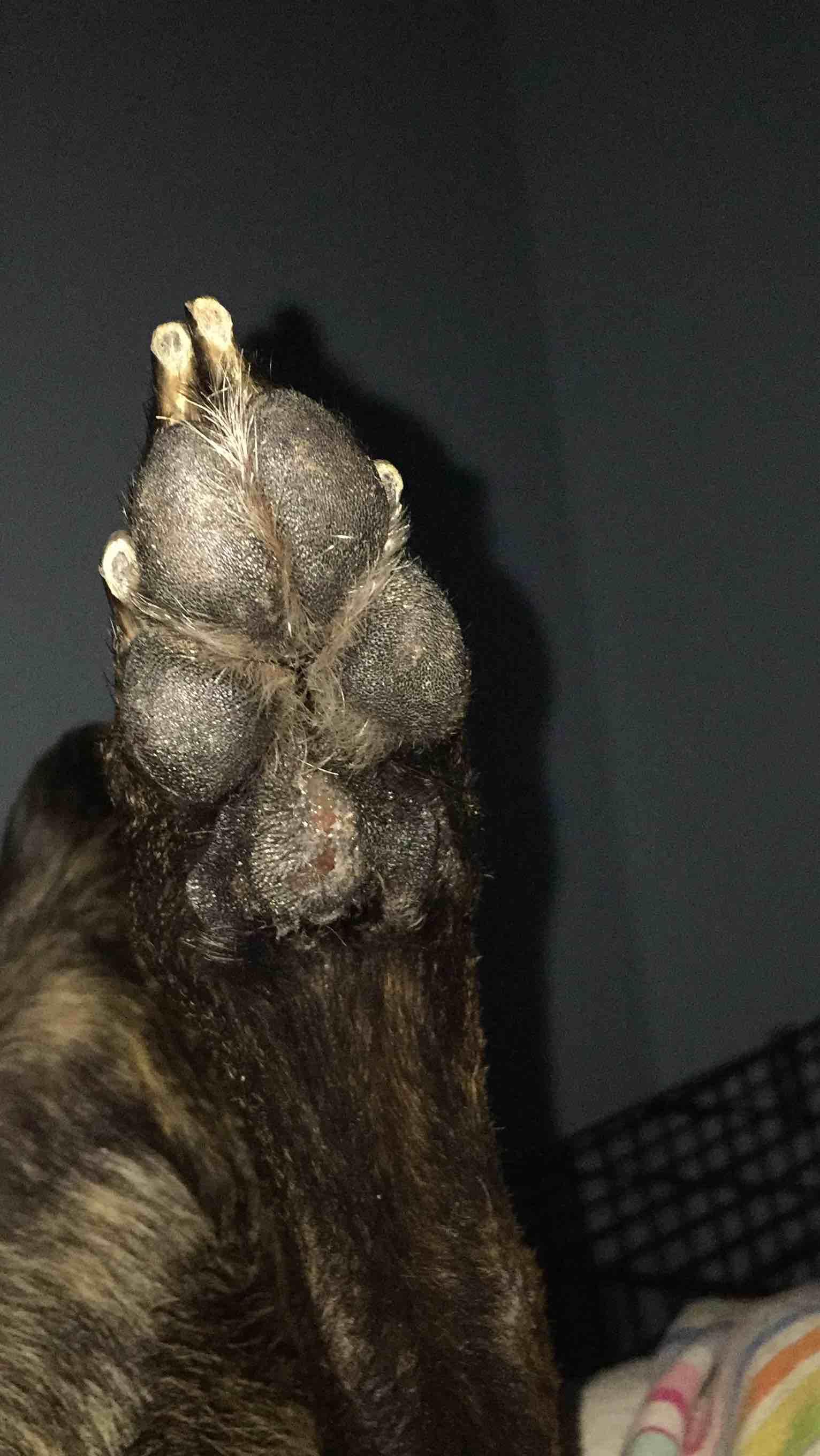 Question details sensitive content