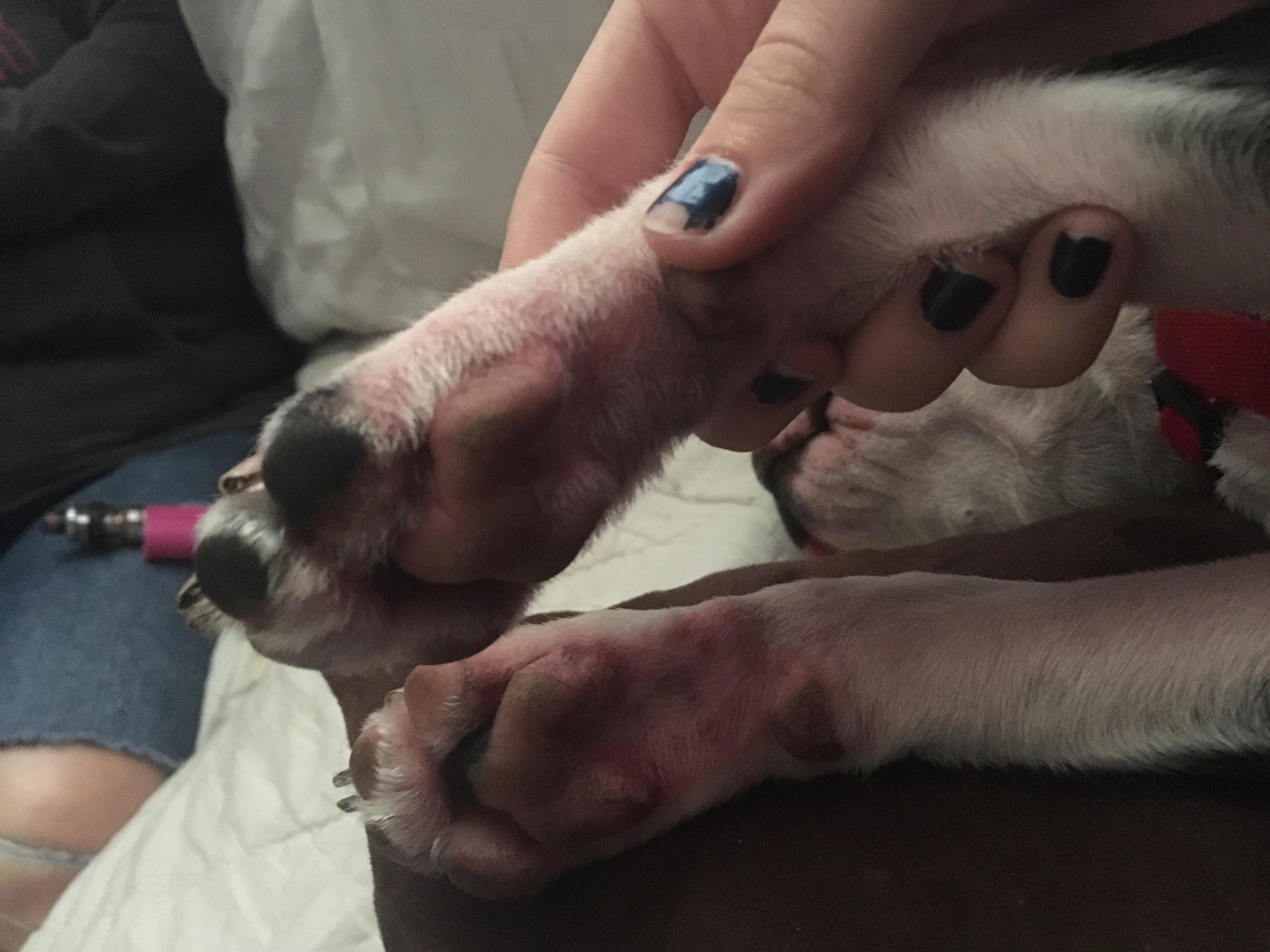 Question details sensitive content