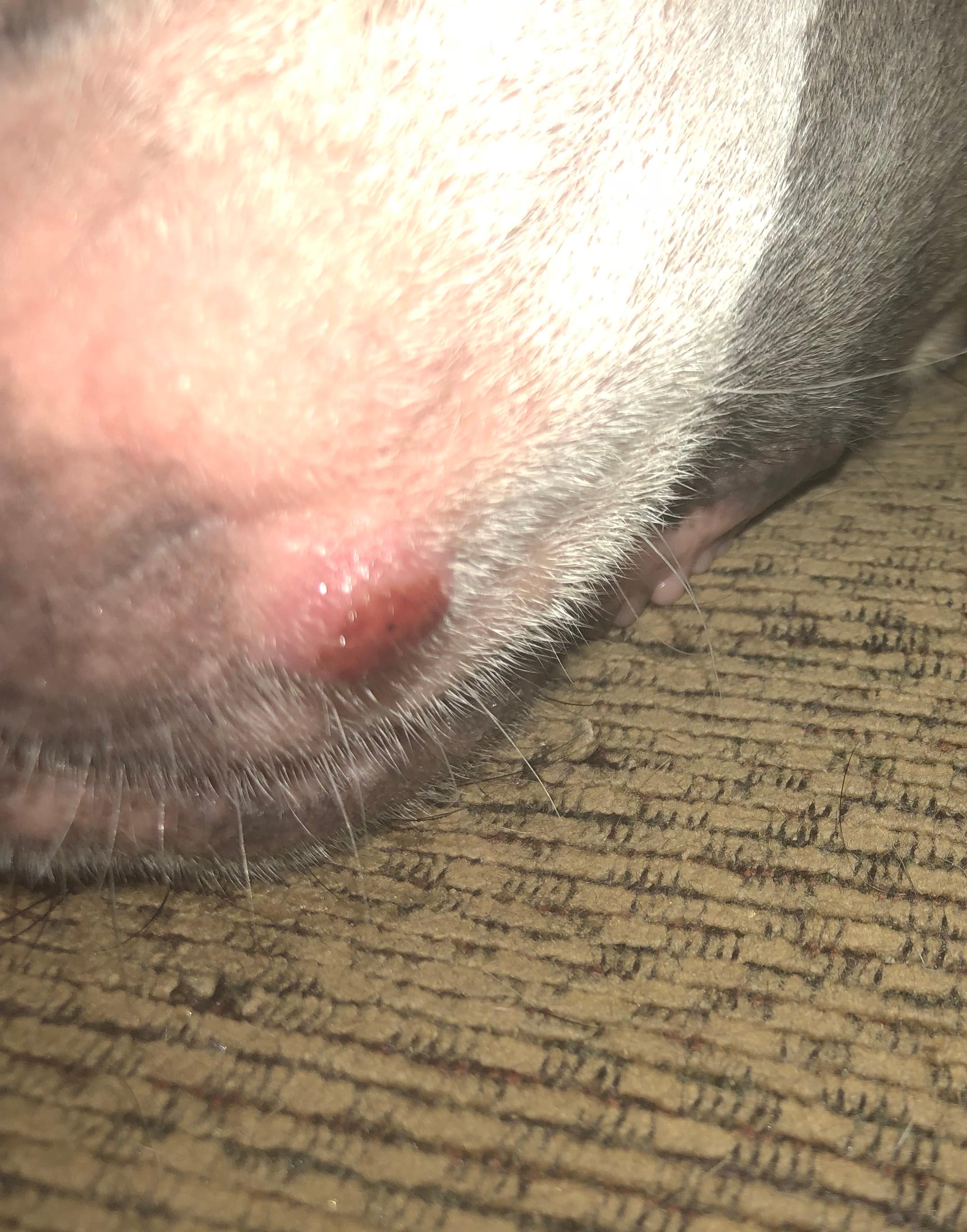 Question details sensitive content