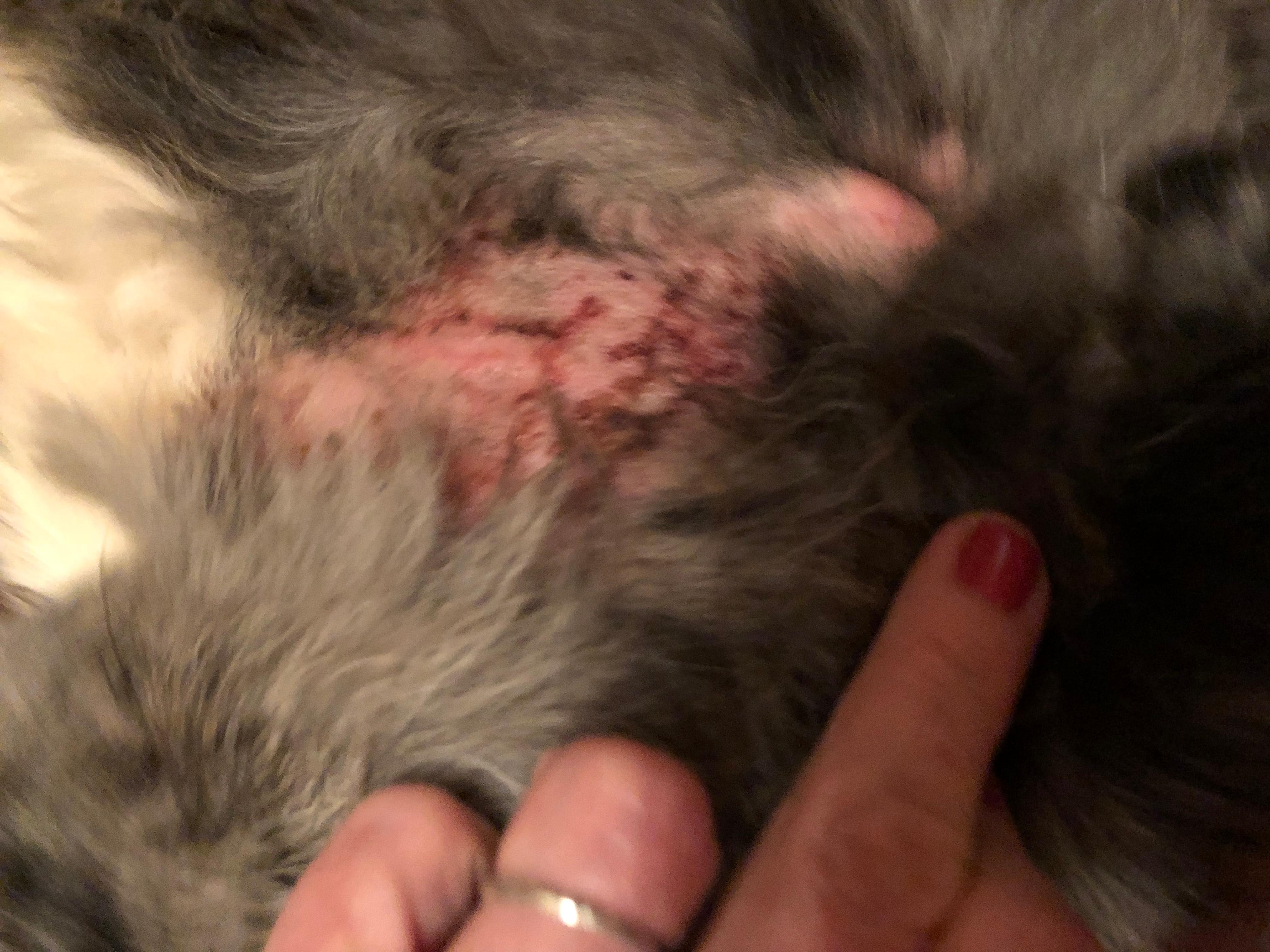 Question details sensitive content