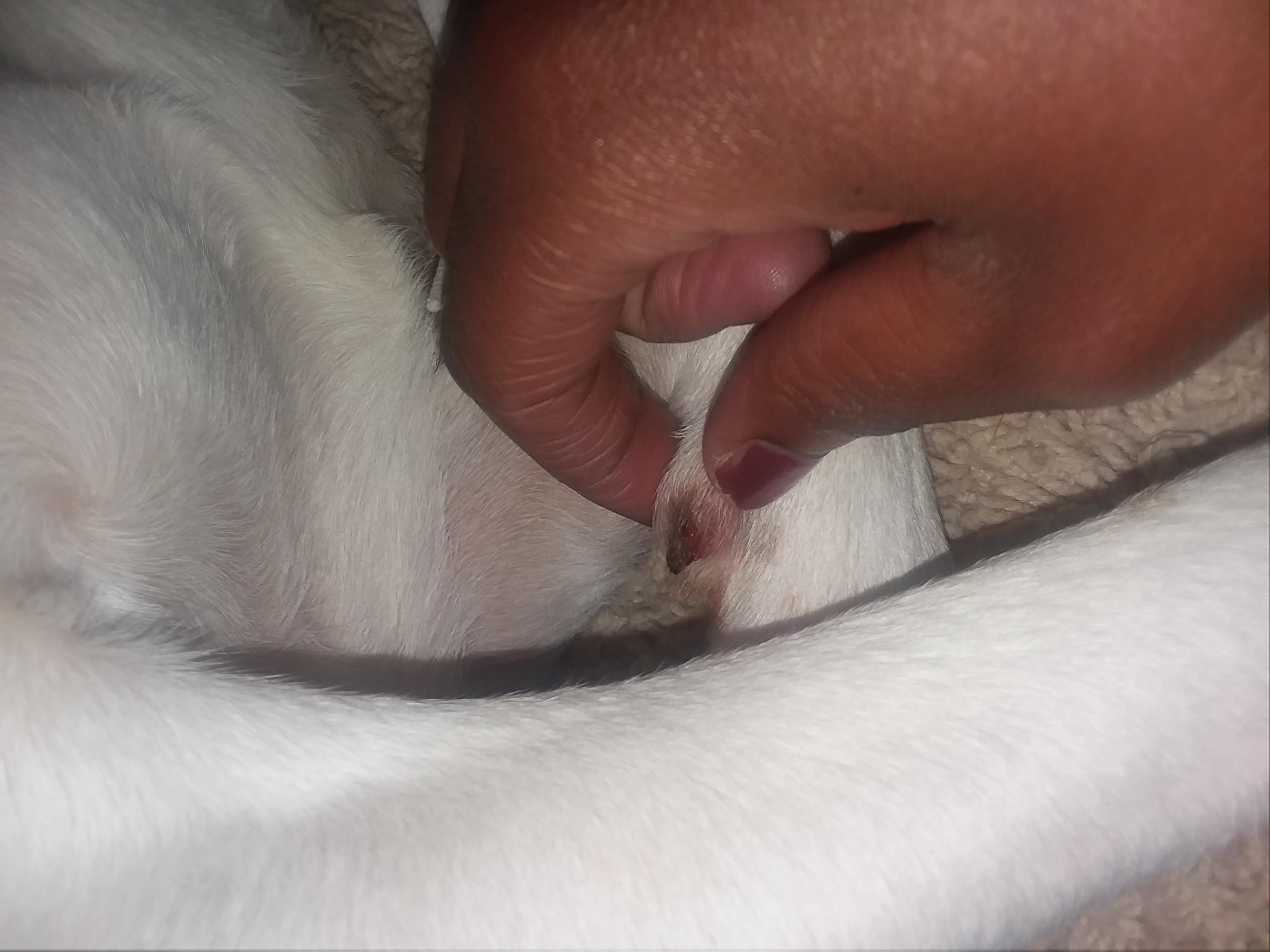 Question details sensitive content