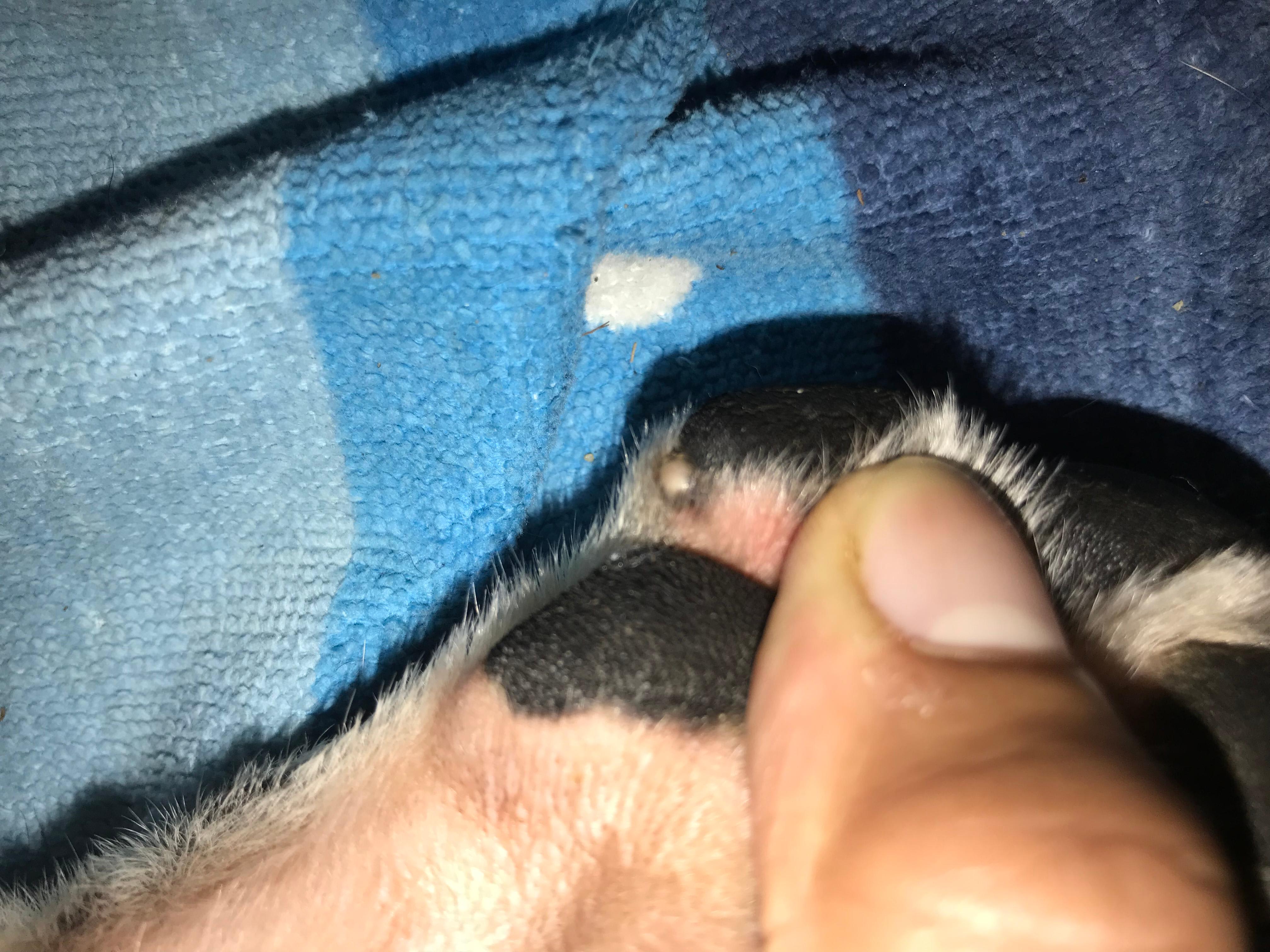 Question details sensitive content