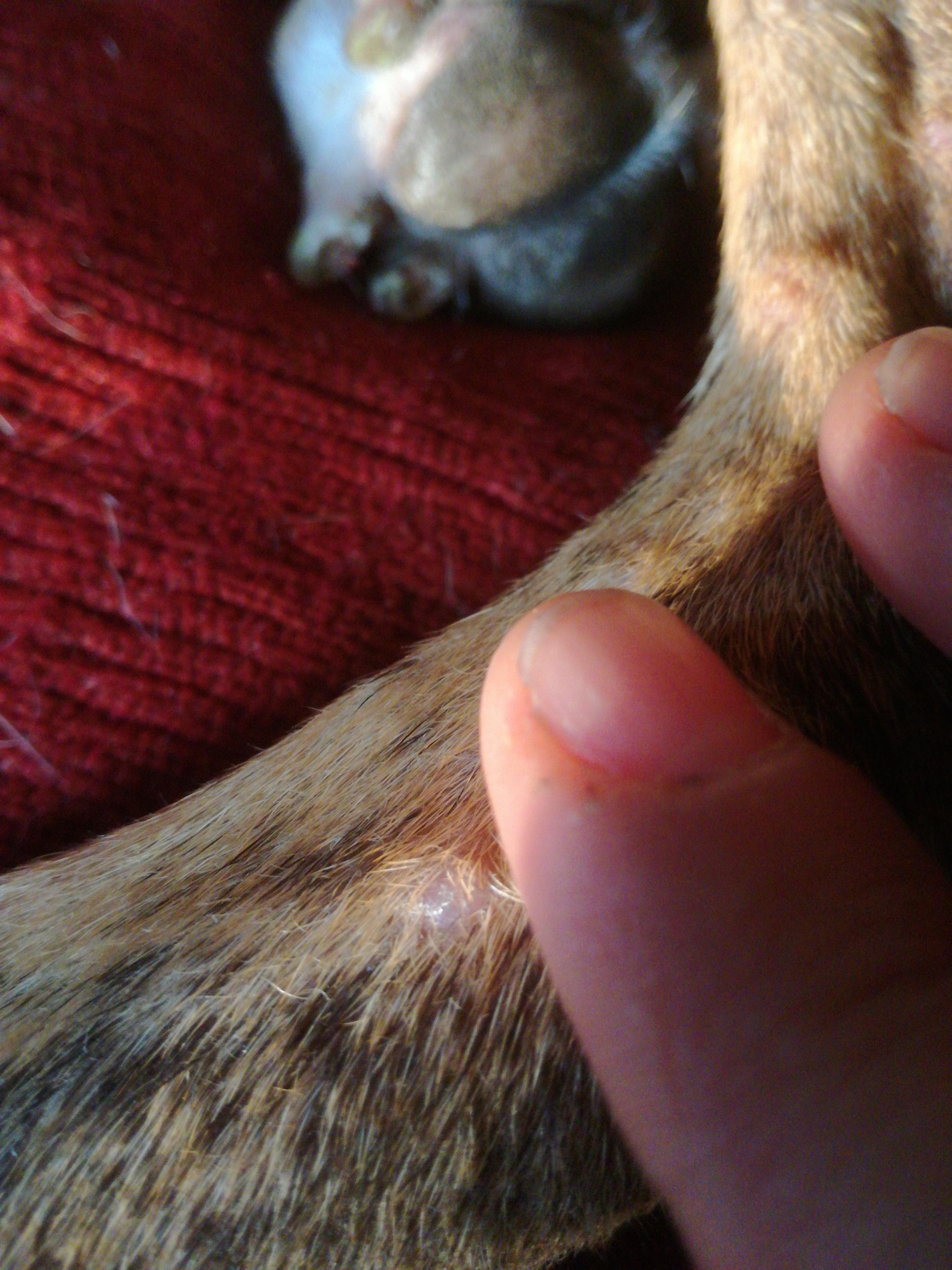 Question details sensitive content