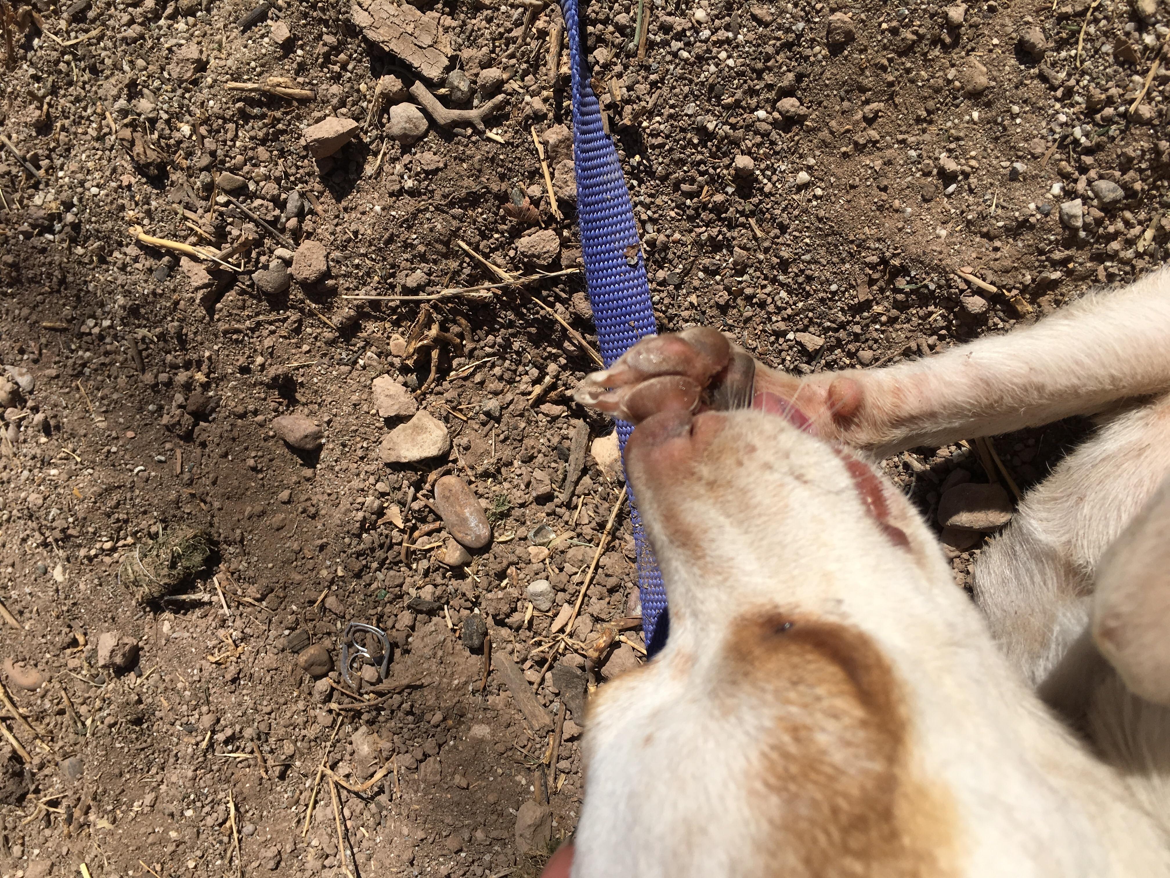 Question details sensitive content