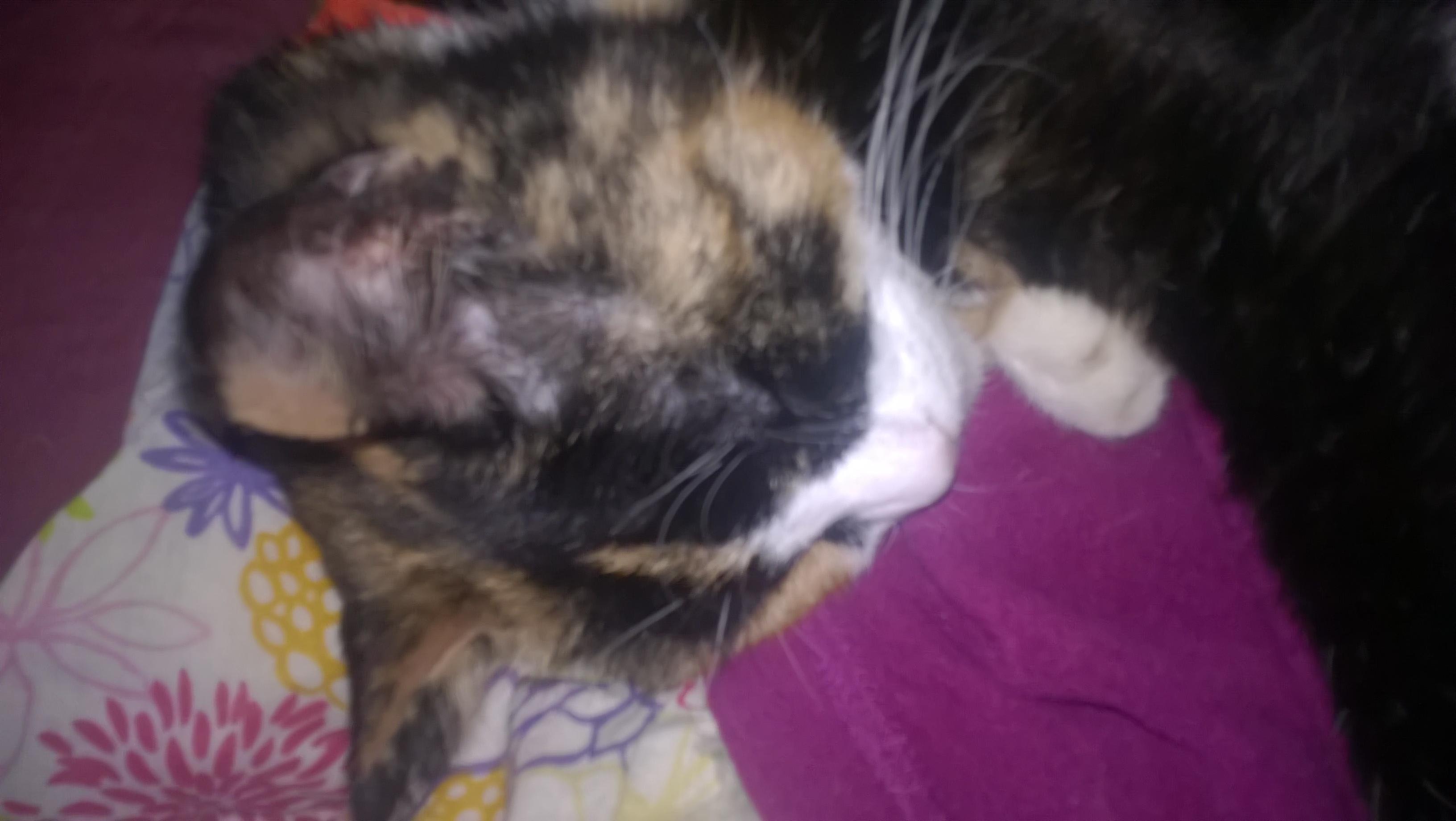 Question details sensitive content