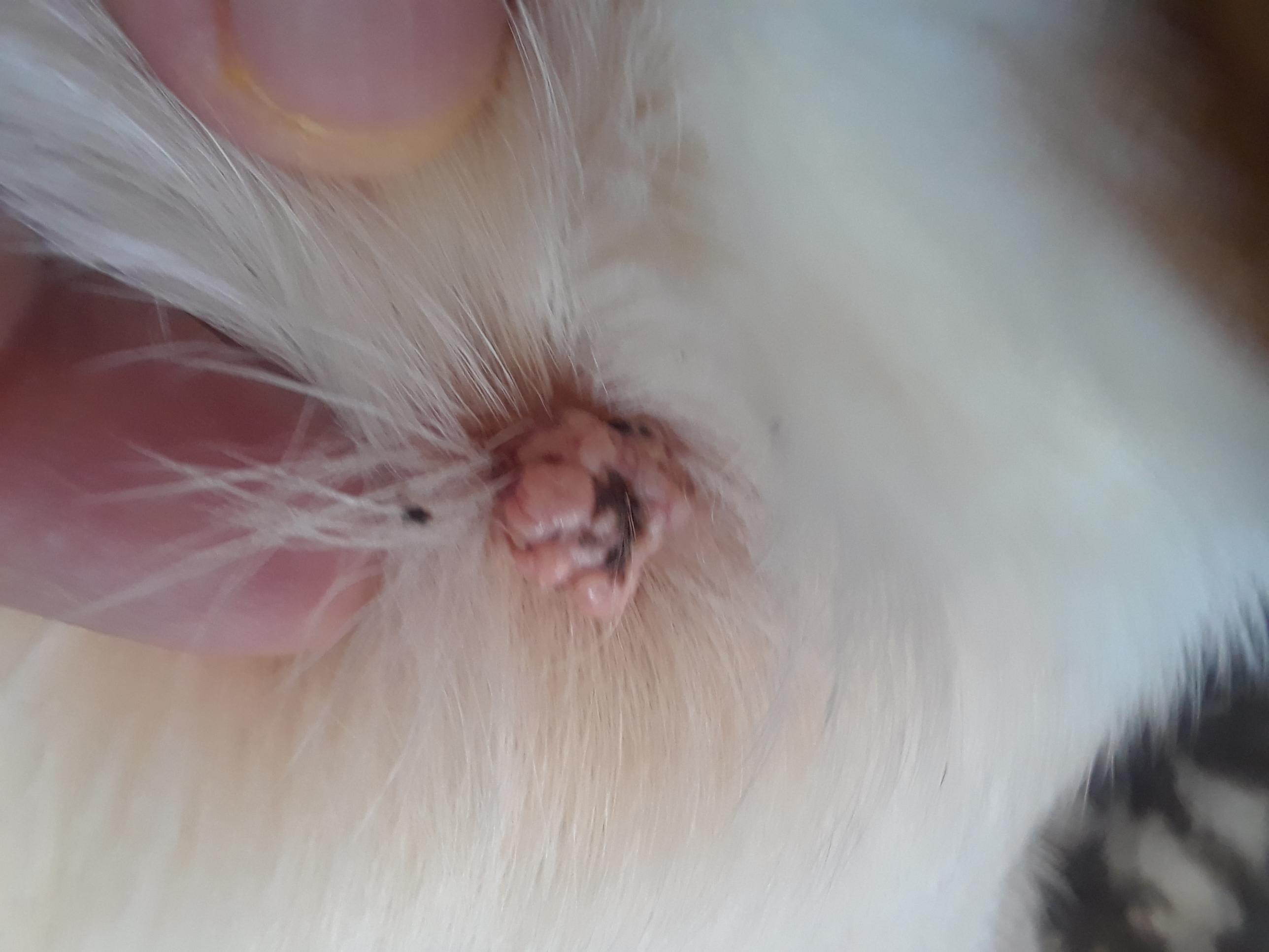 Question details sensitive content