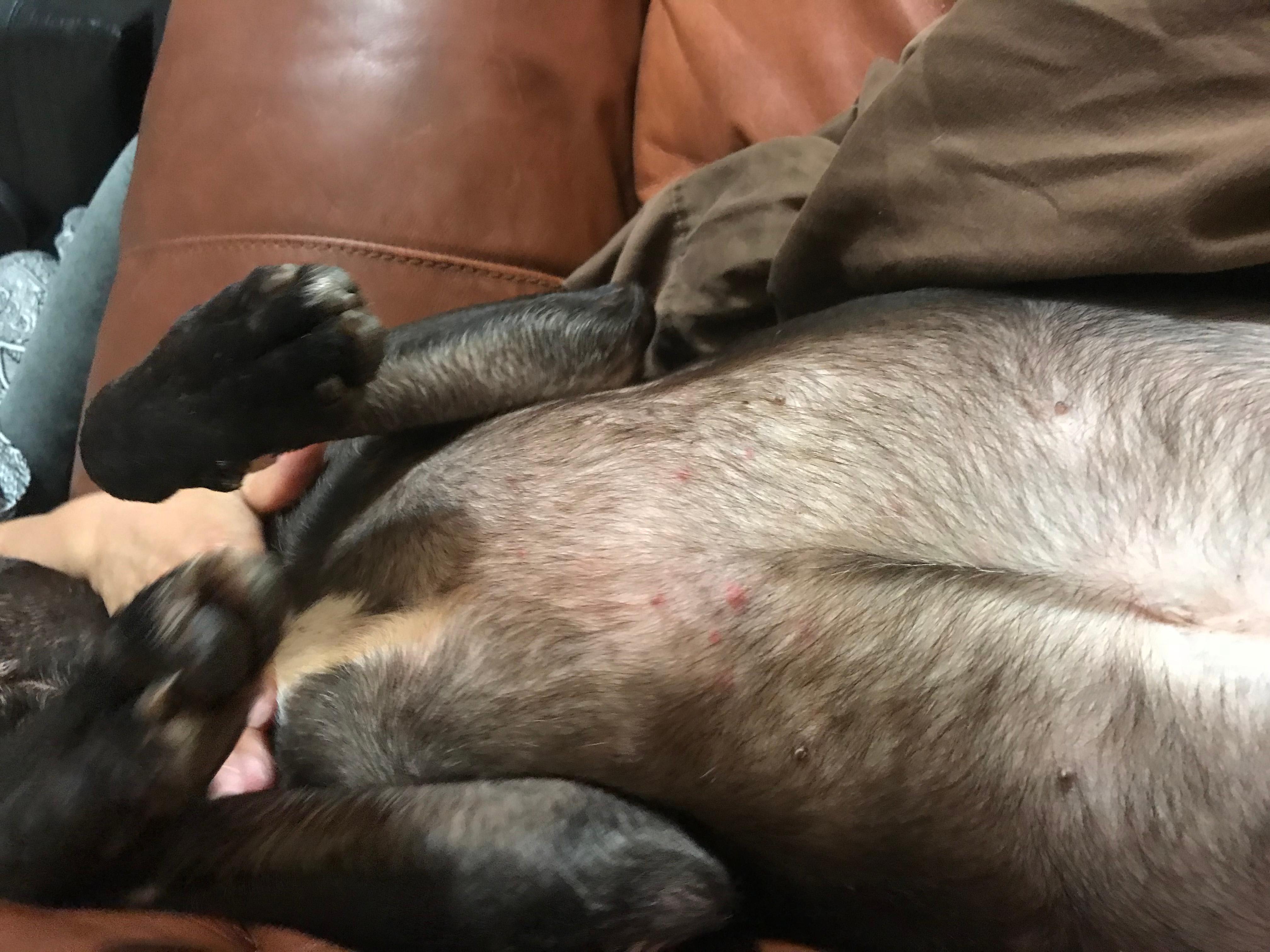 Question details sensitive content