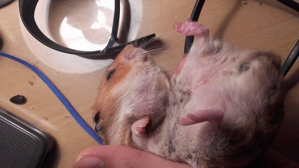 Question details sensitive content