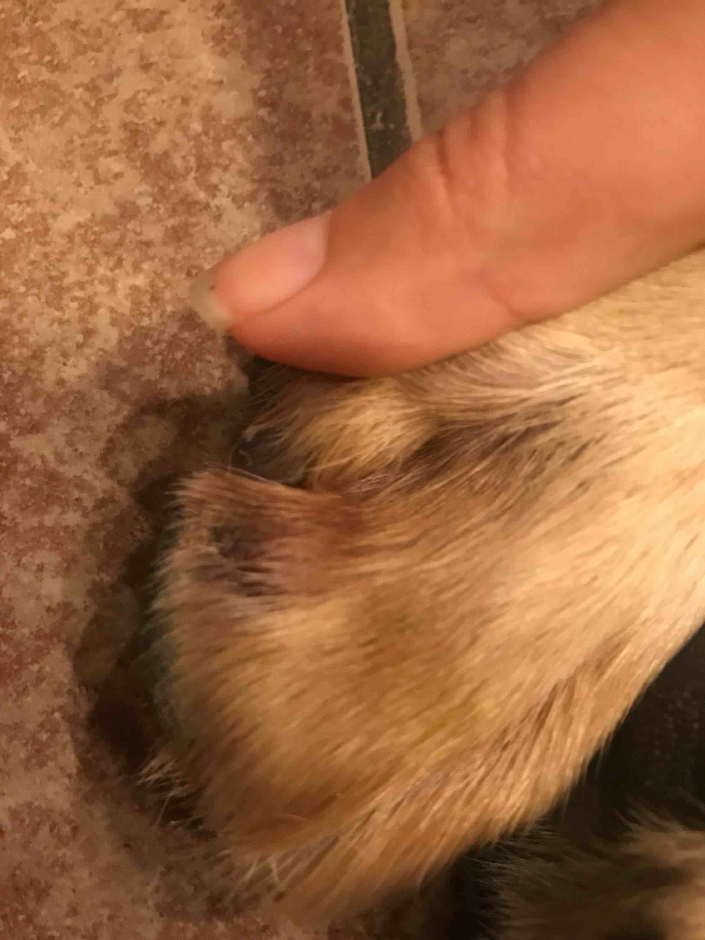 Question details sensitive content