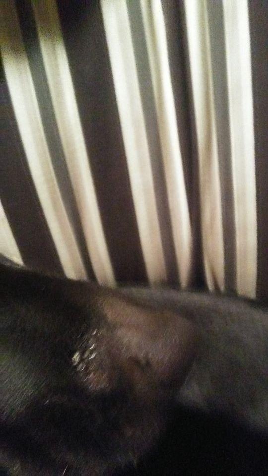 Question details sensitive content