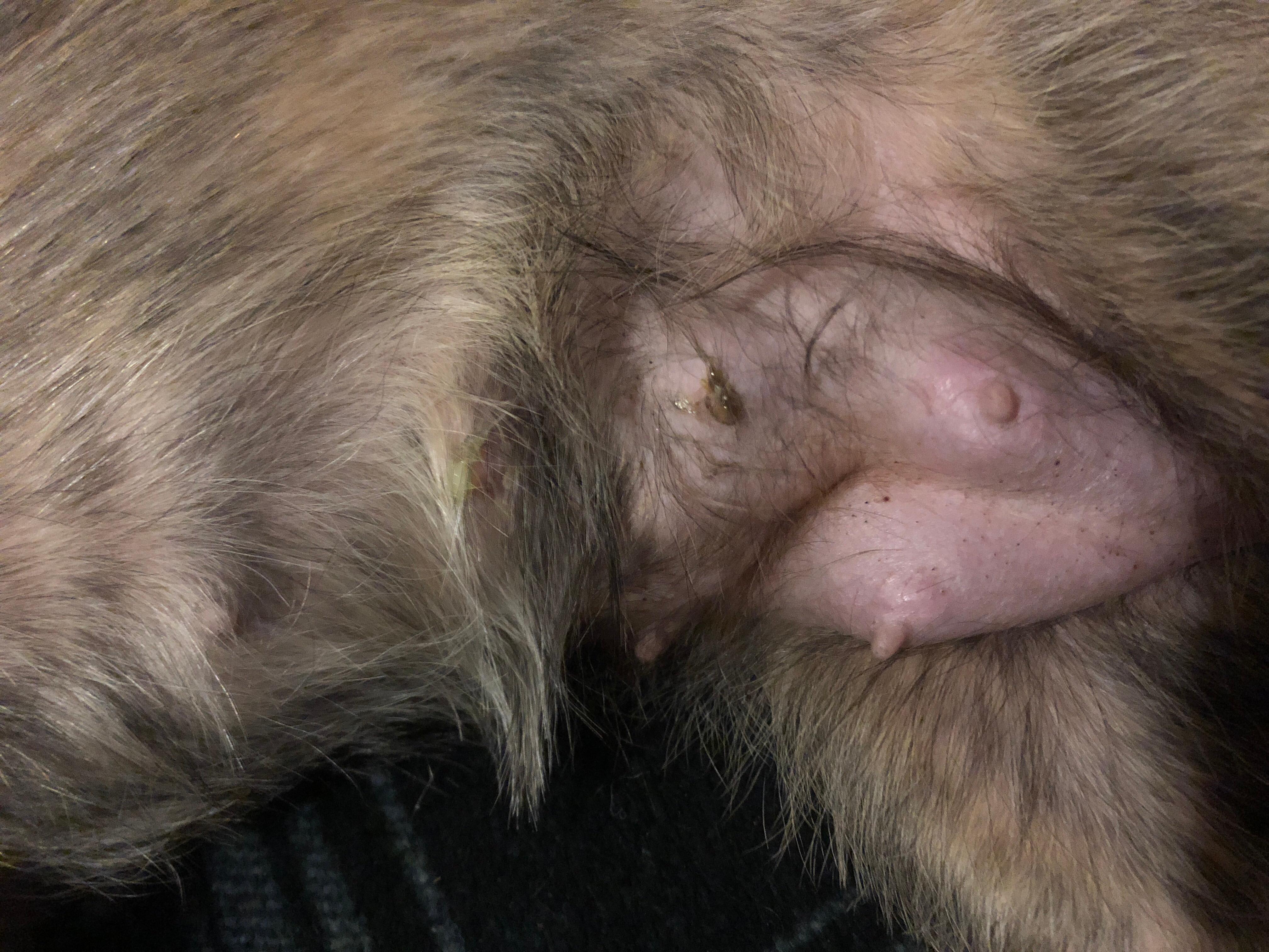 Question details sensitive content