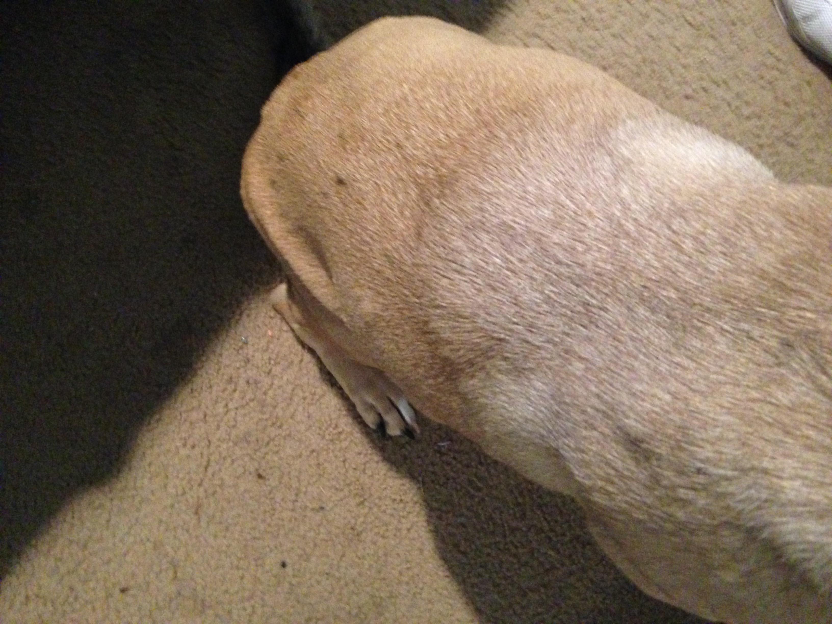 Question details sensitive content