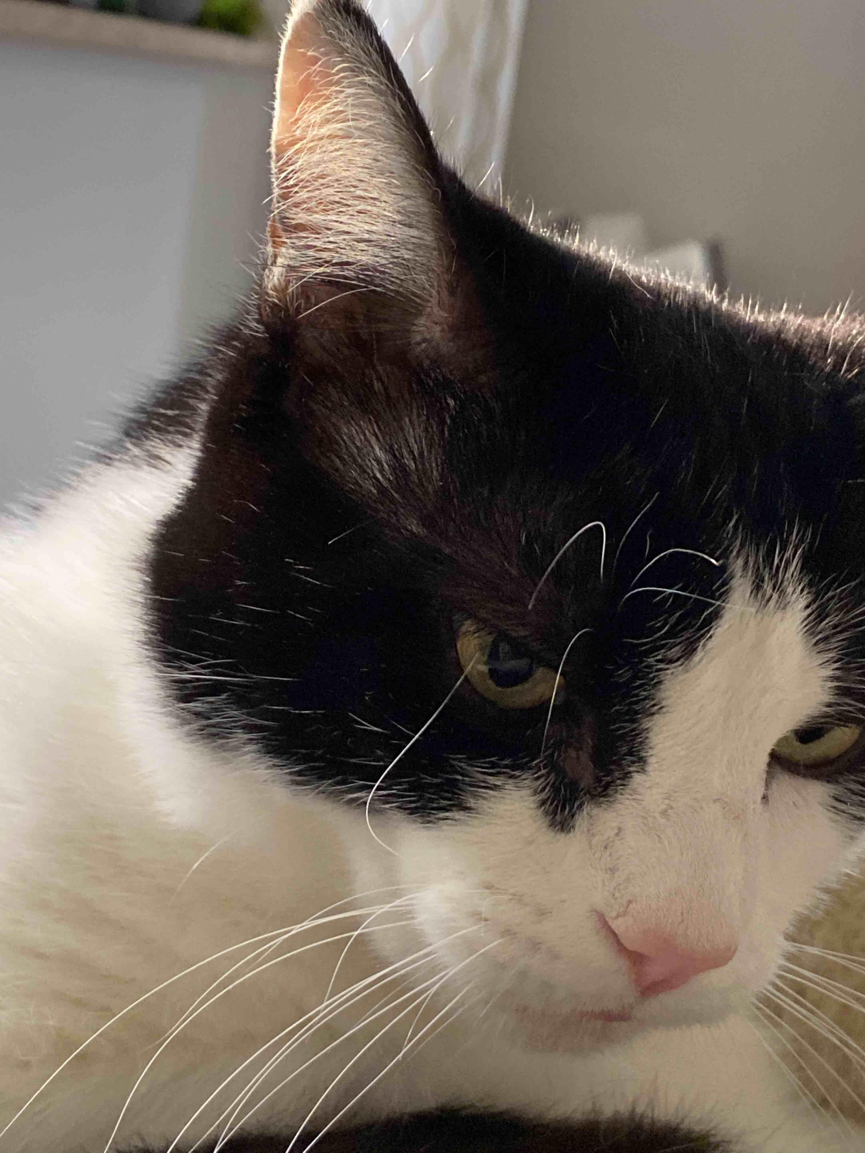 Question details sensitive content