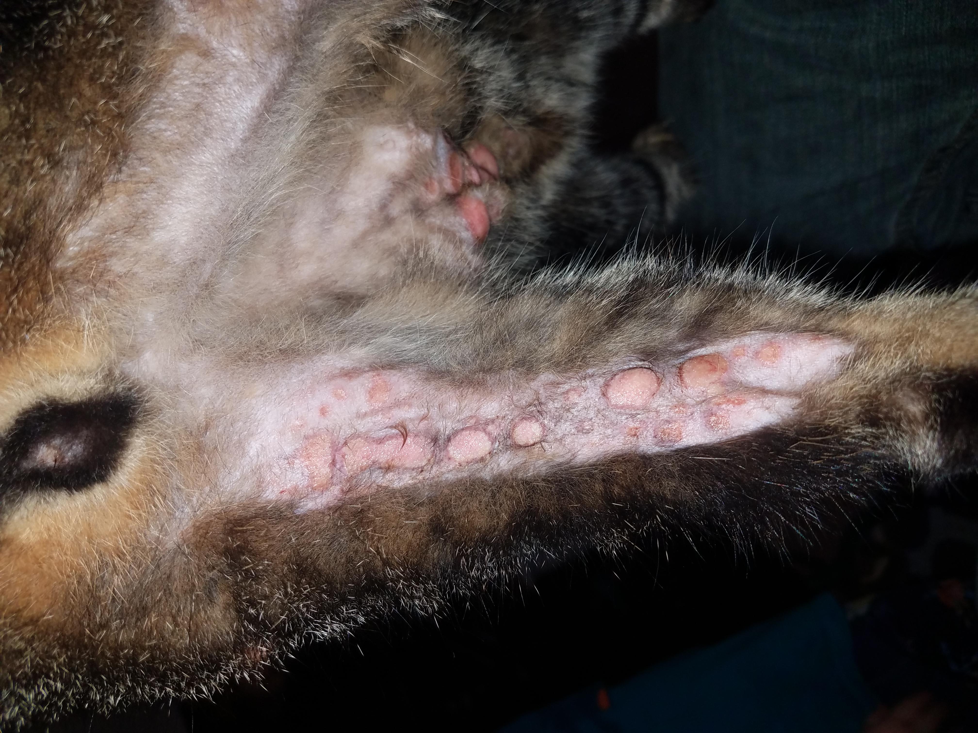 Question details sensitive content