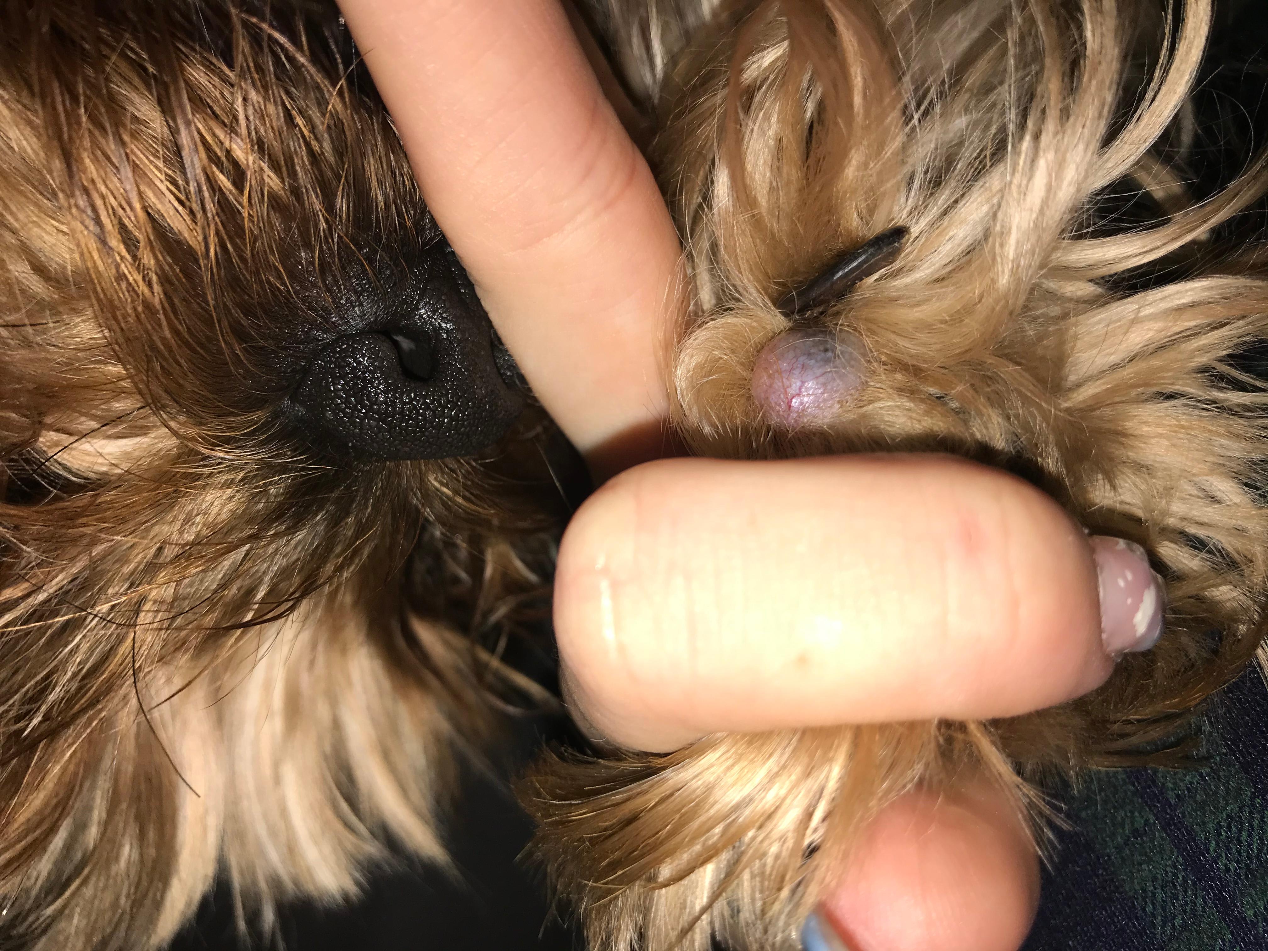 Question details sensitive content