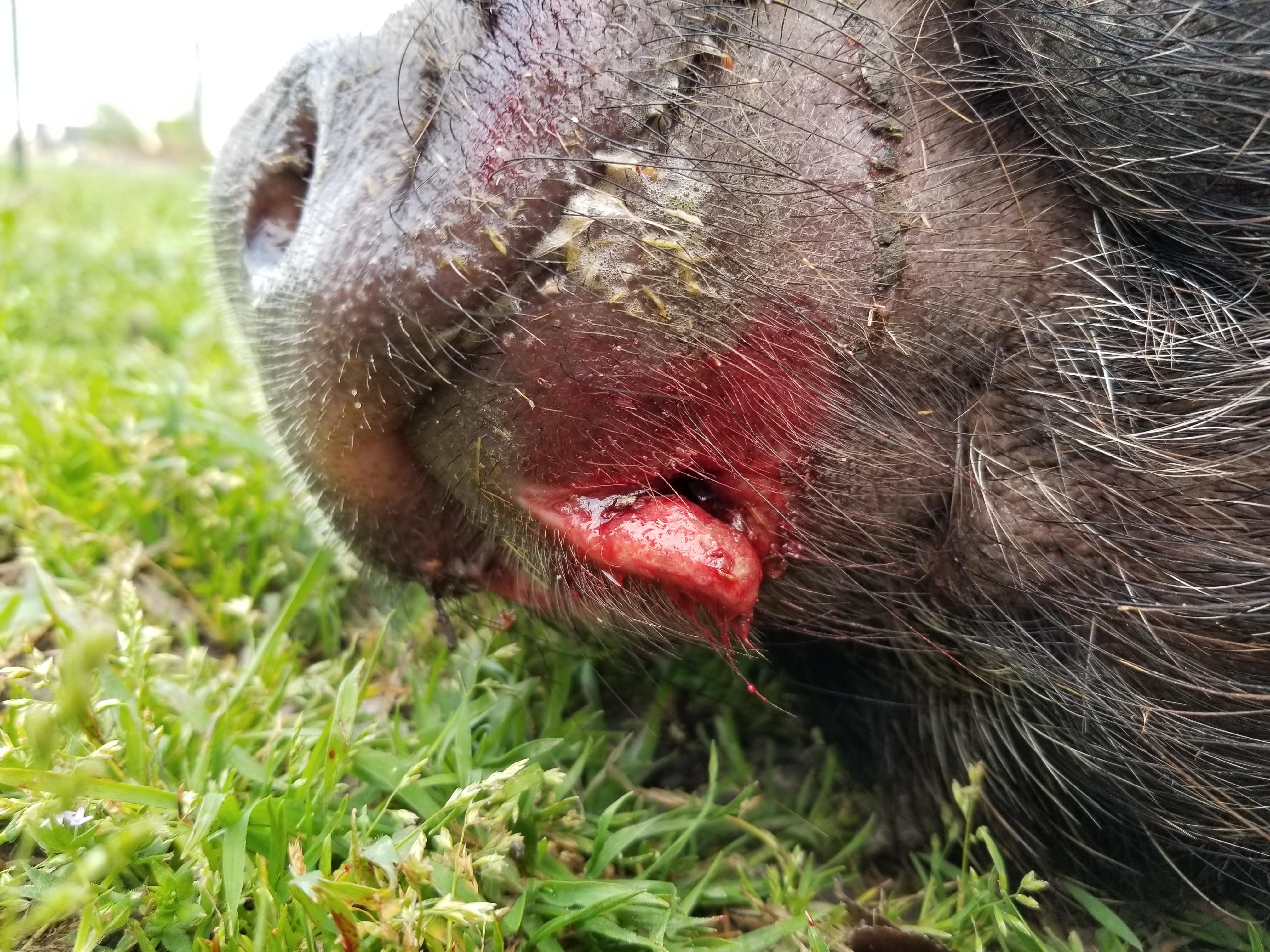 Question details sensitive content