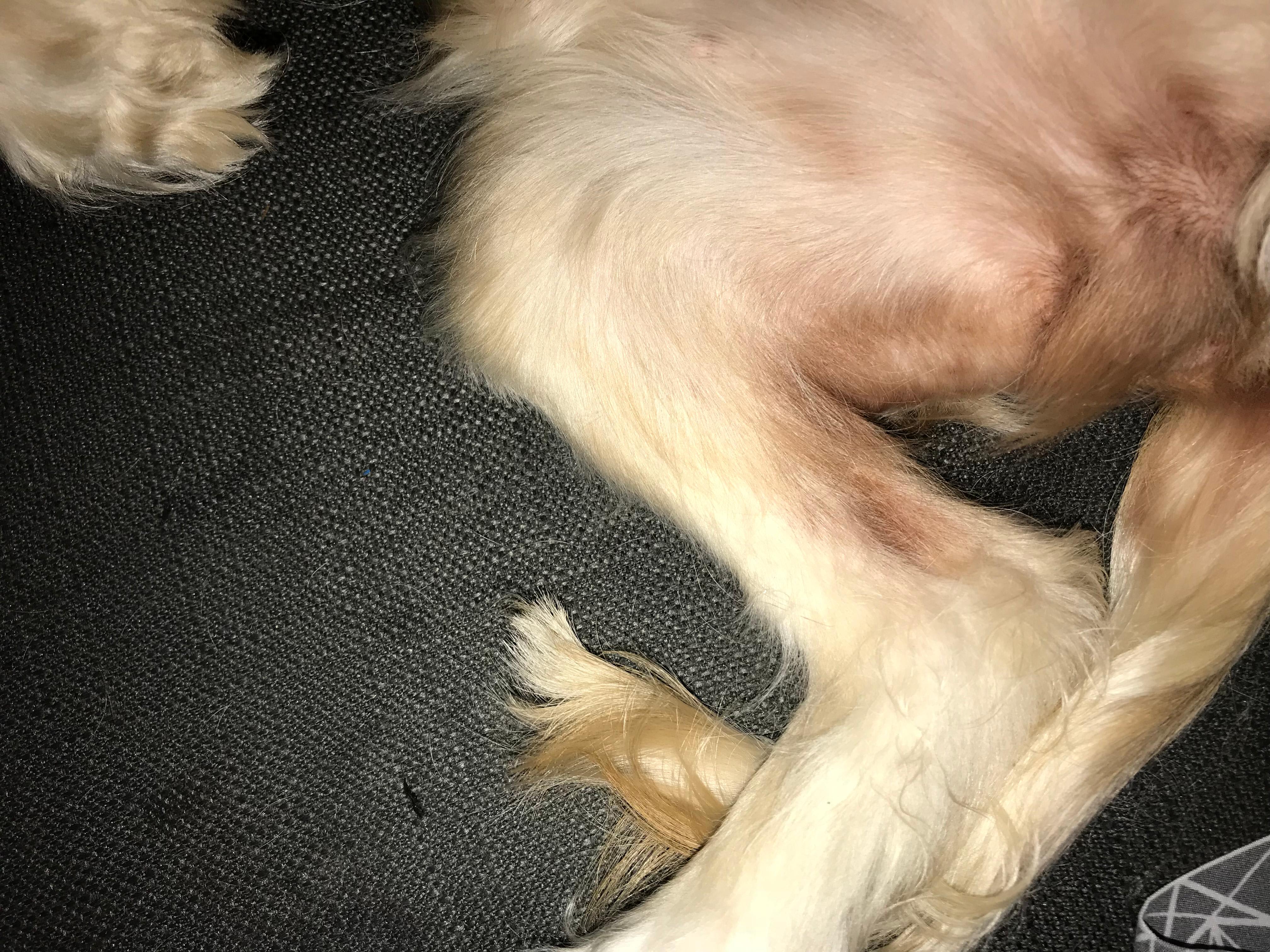 Question details sensitive content