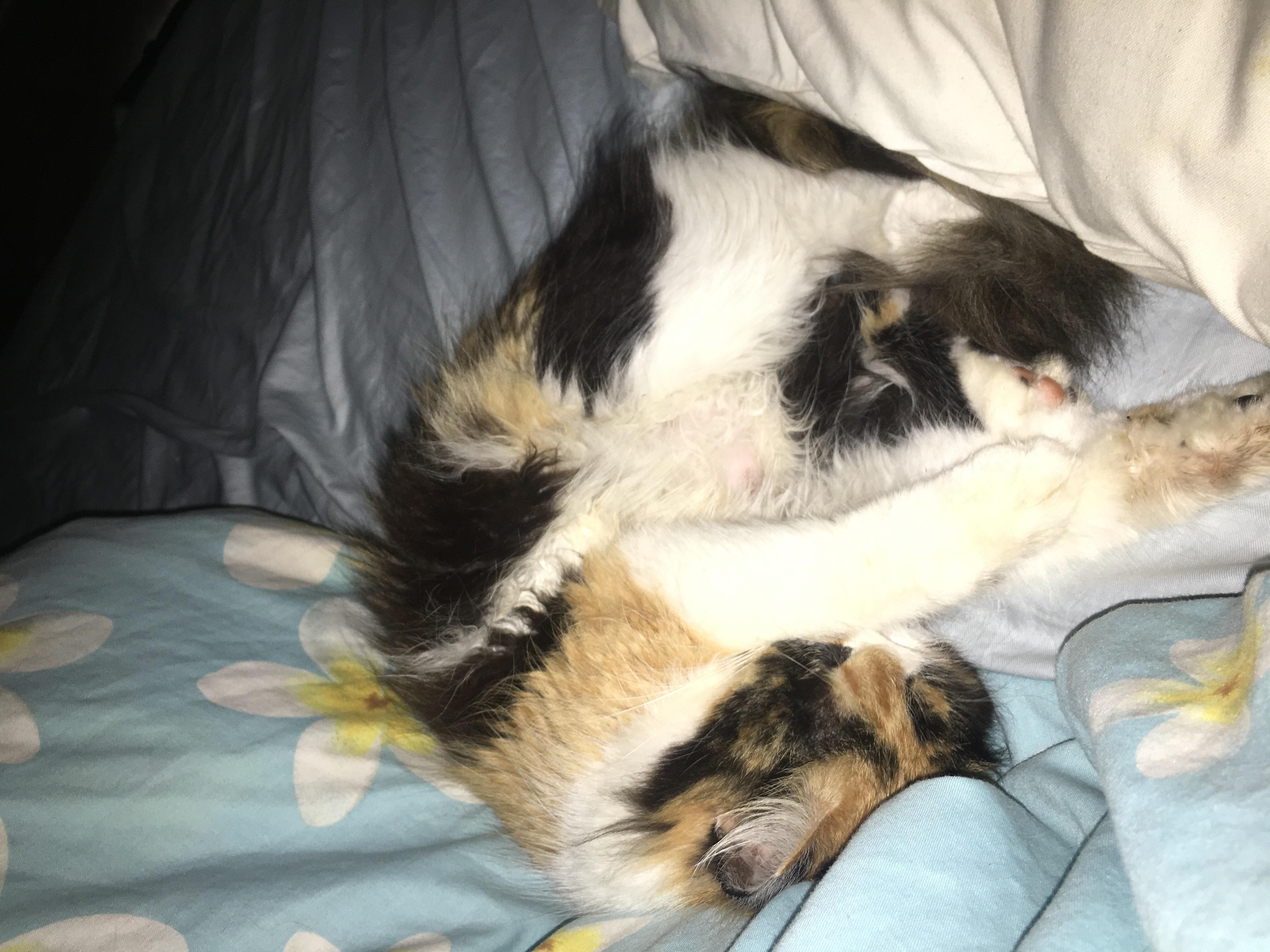 Question details sensitive content