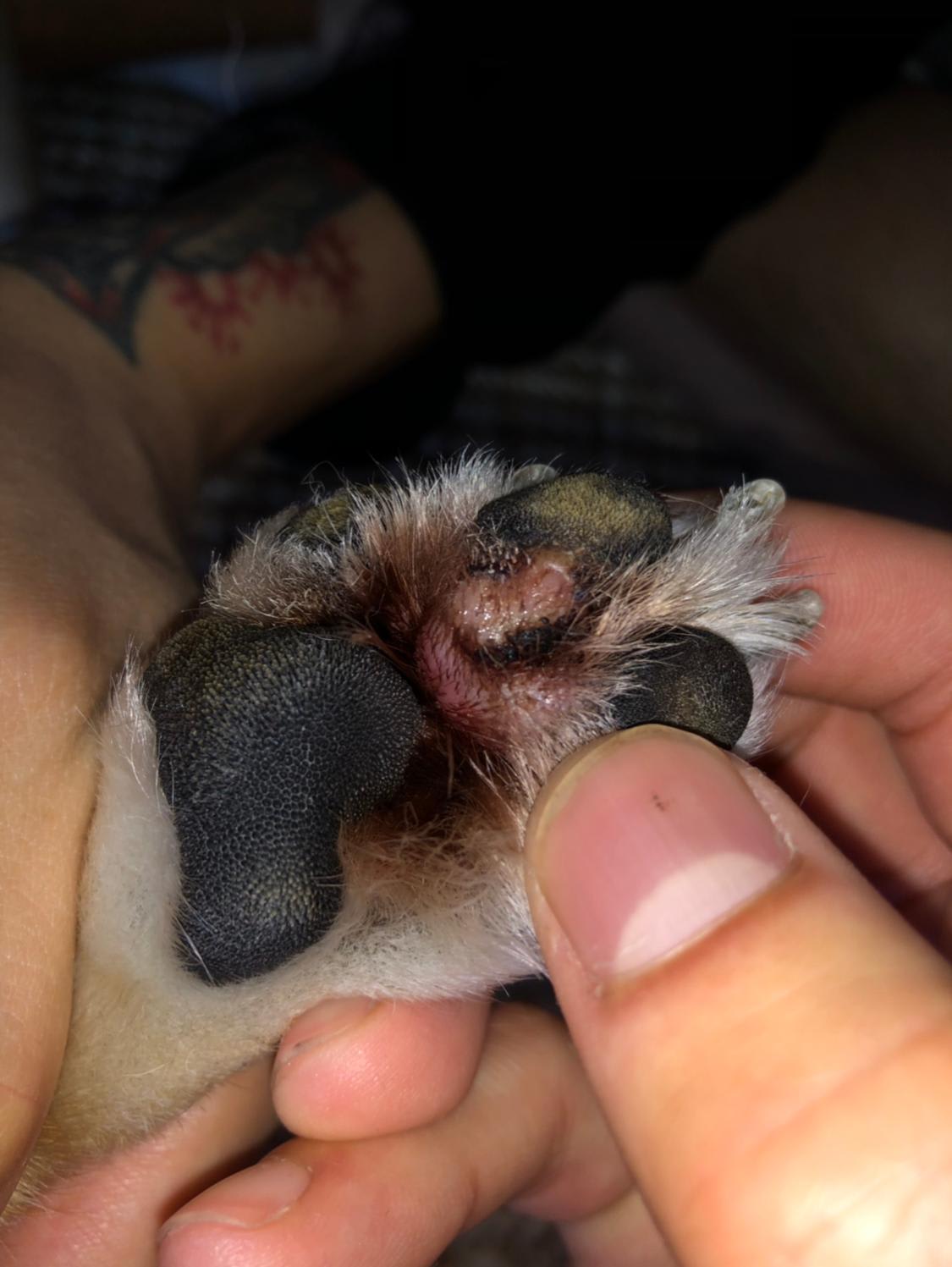 Question details sensitive content