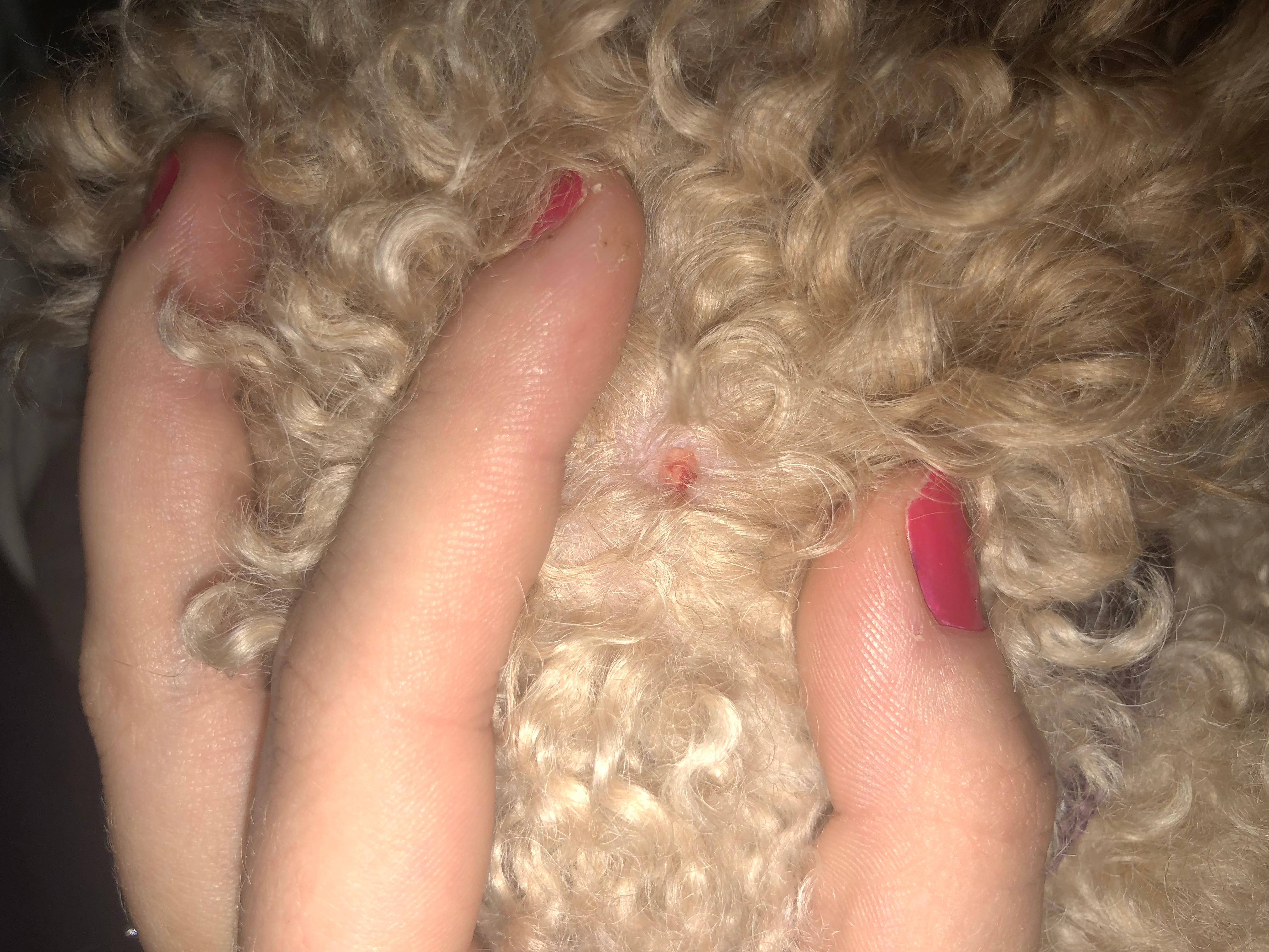 Question details sensitive content