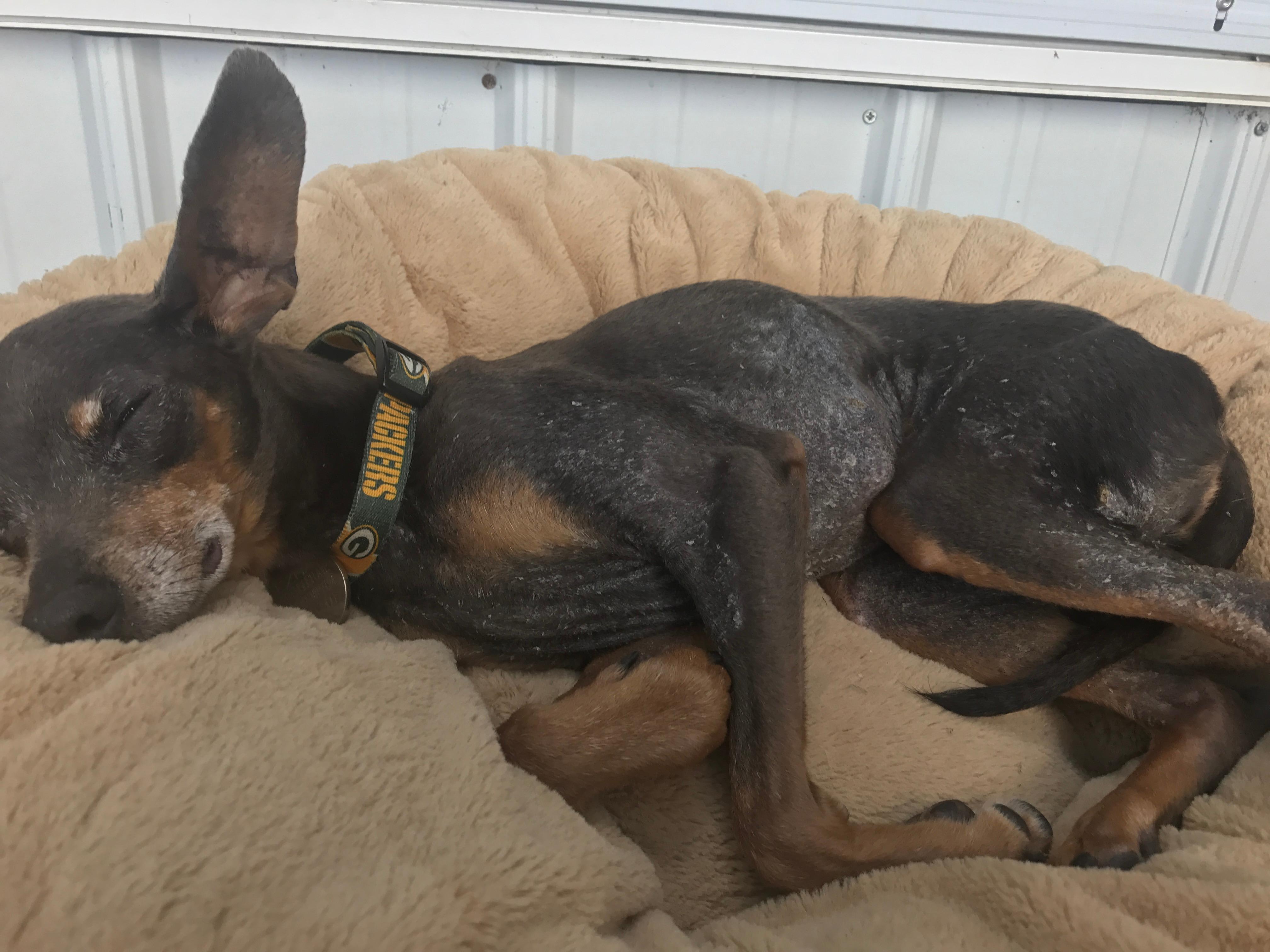 Question details sensitive content