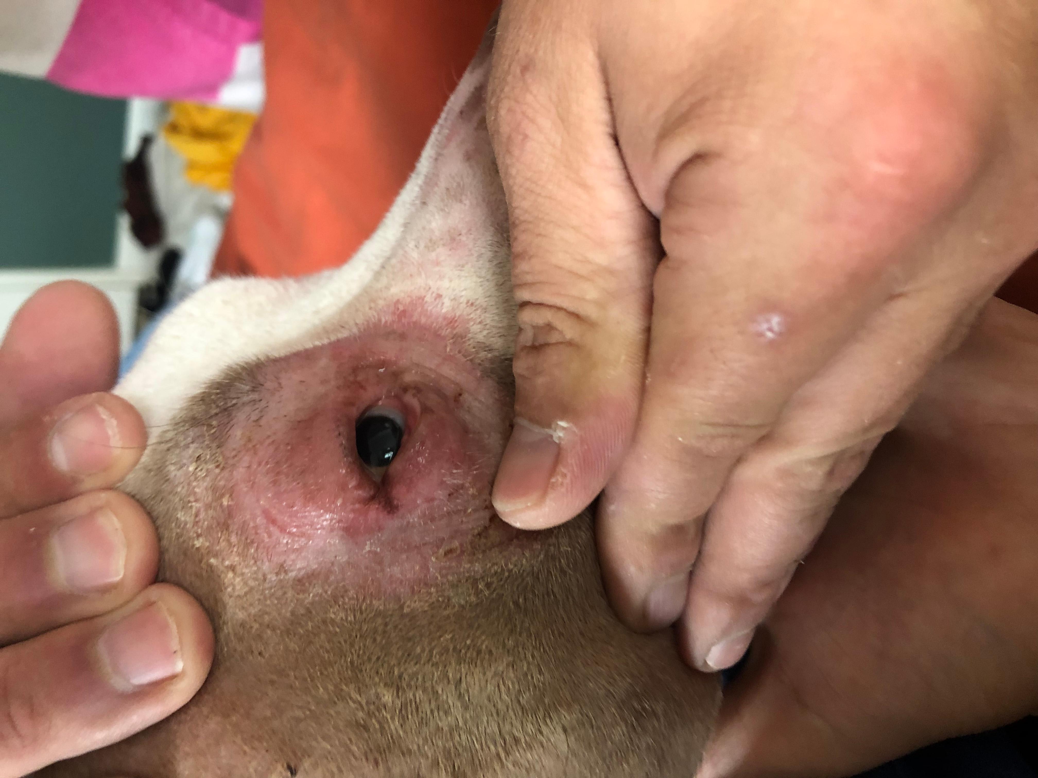 Question details sensitive content