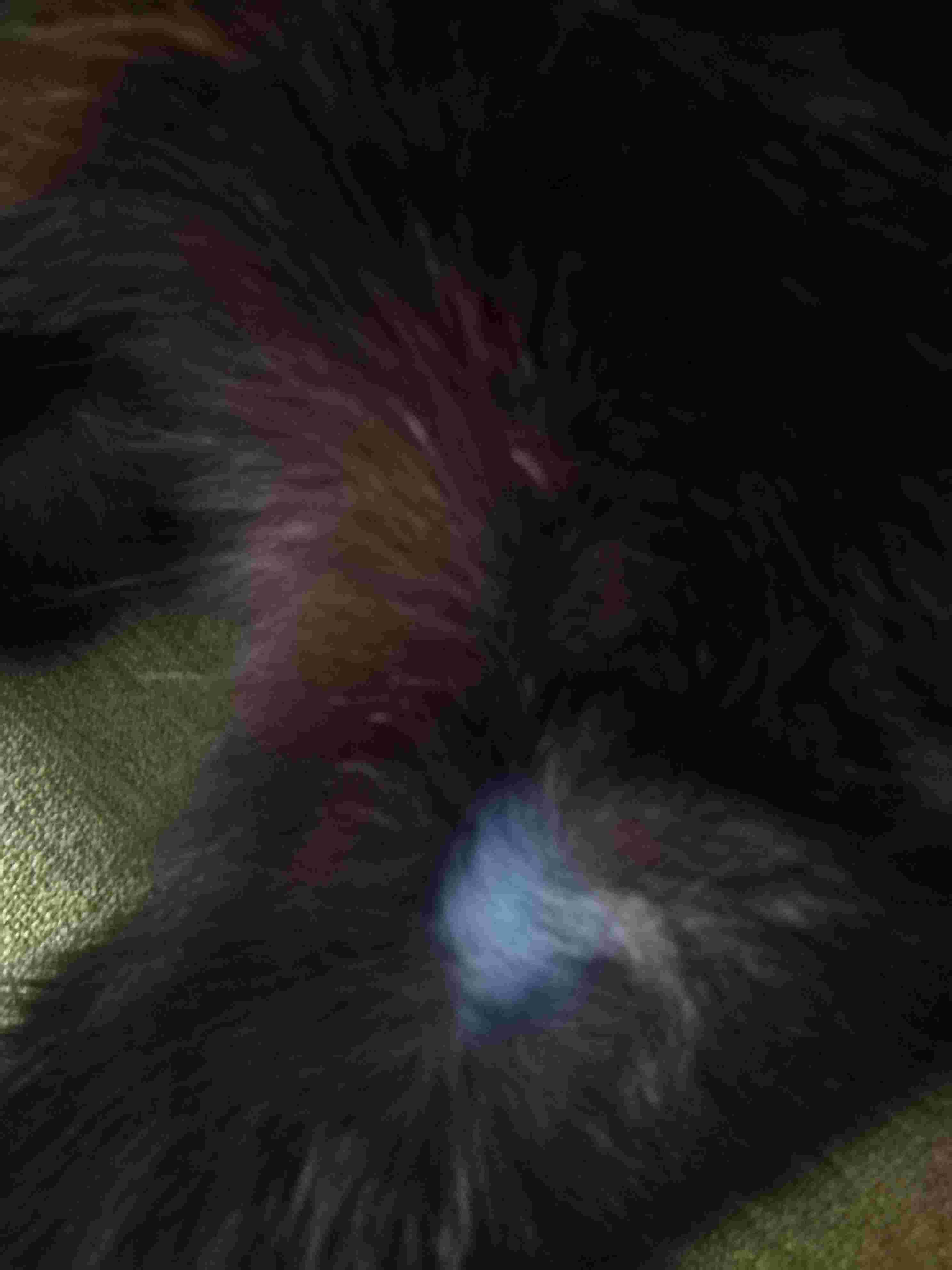 Question details sensitive content