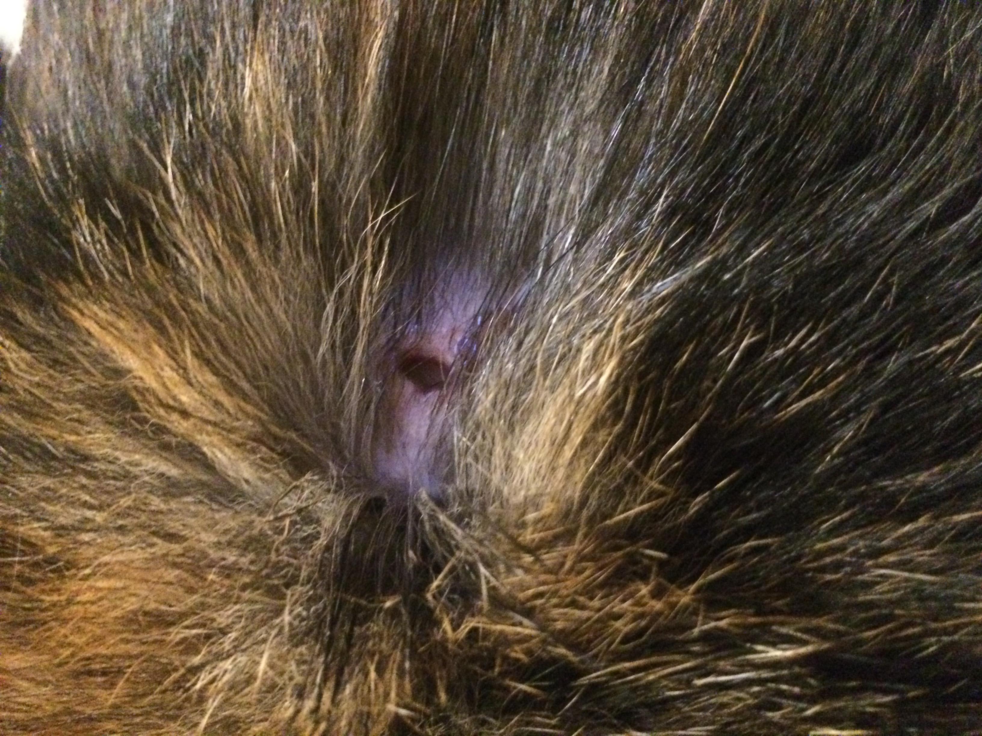 Question details sensitive content