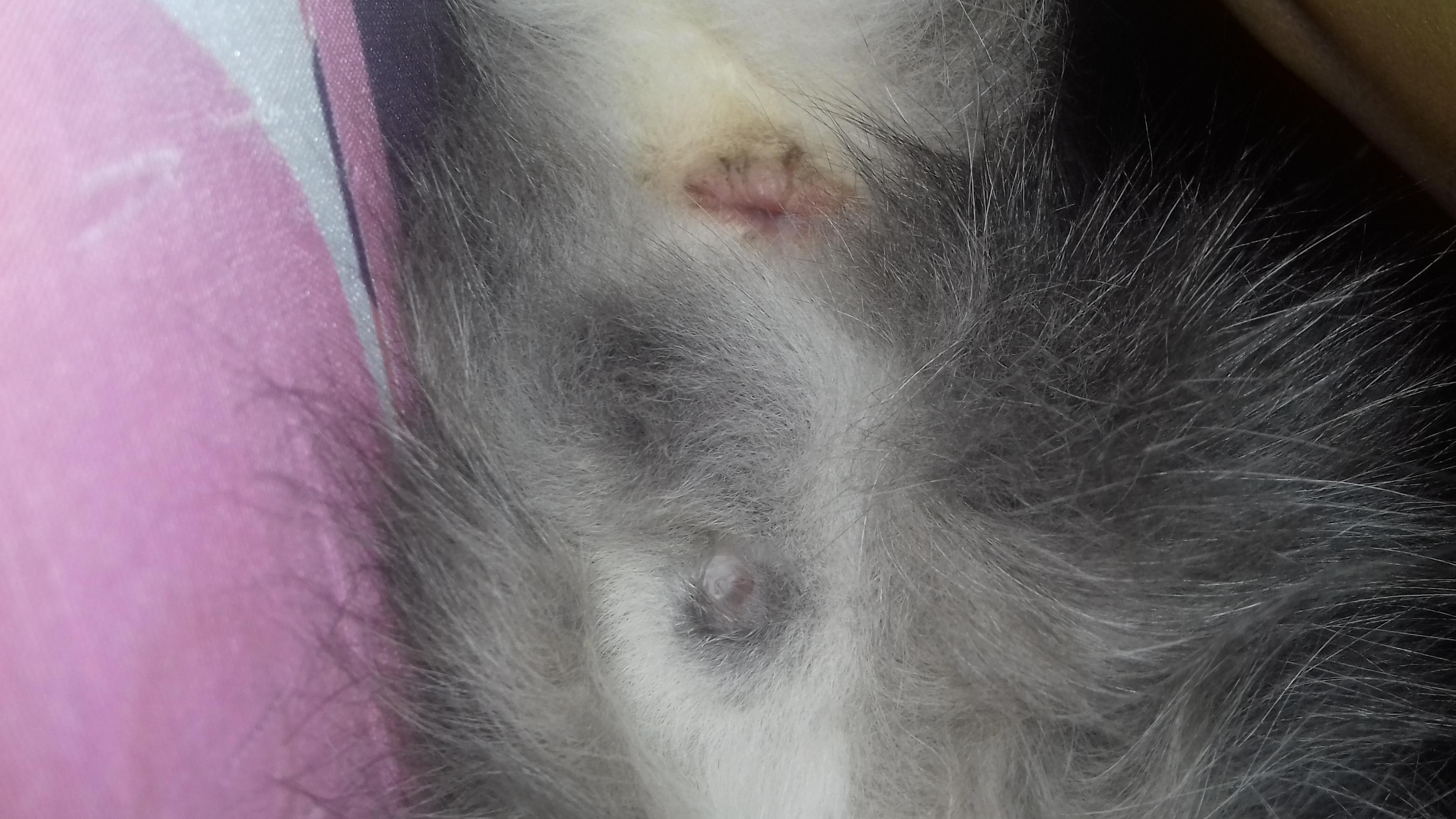 Question details sensitive content