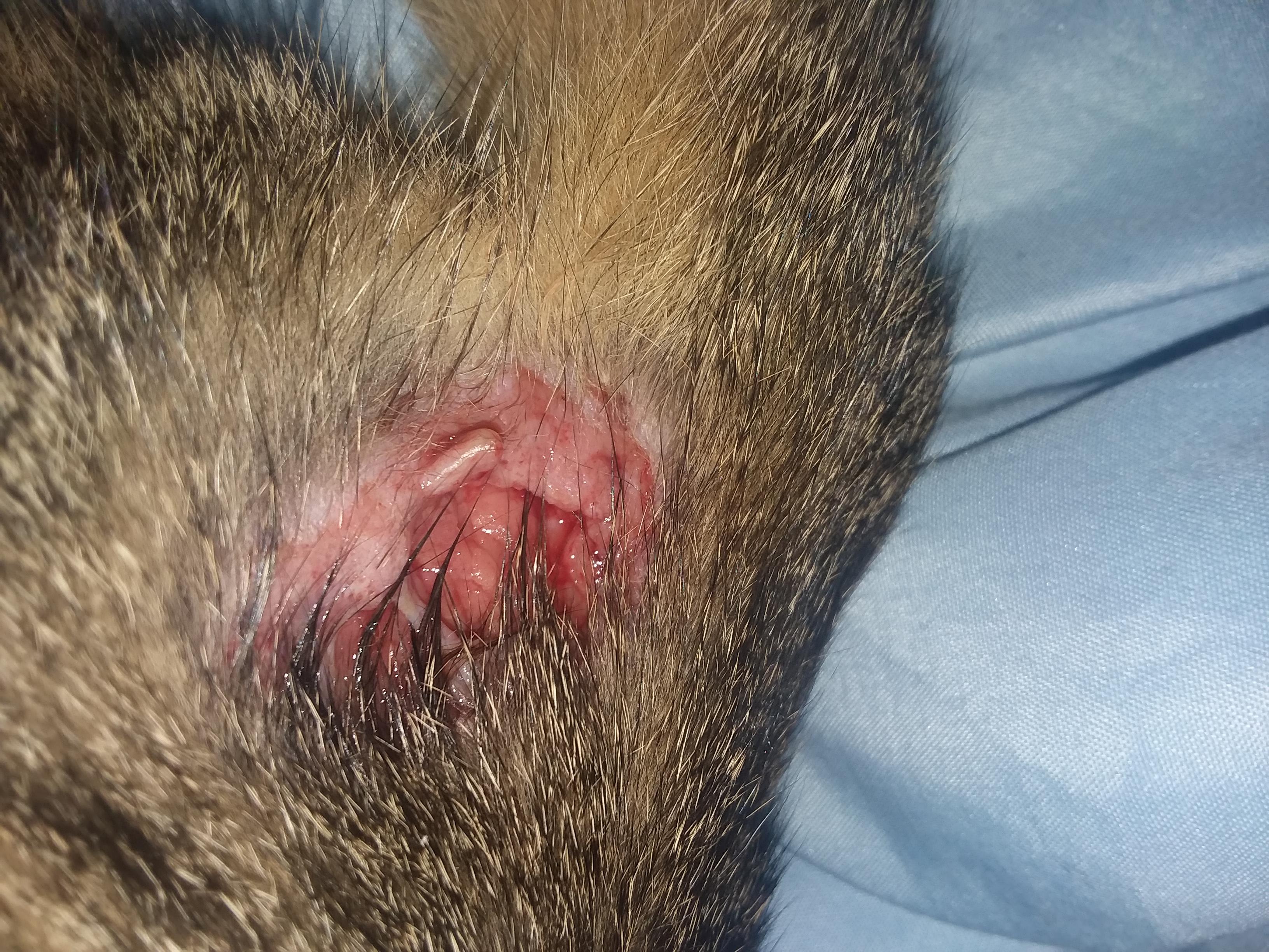 Question details sensitive content