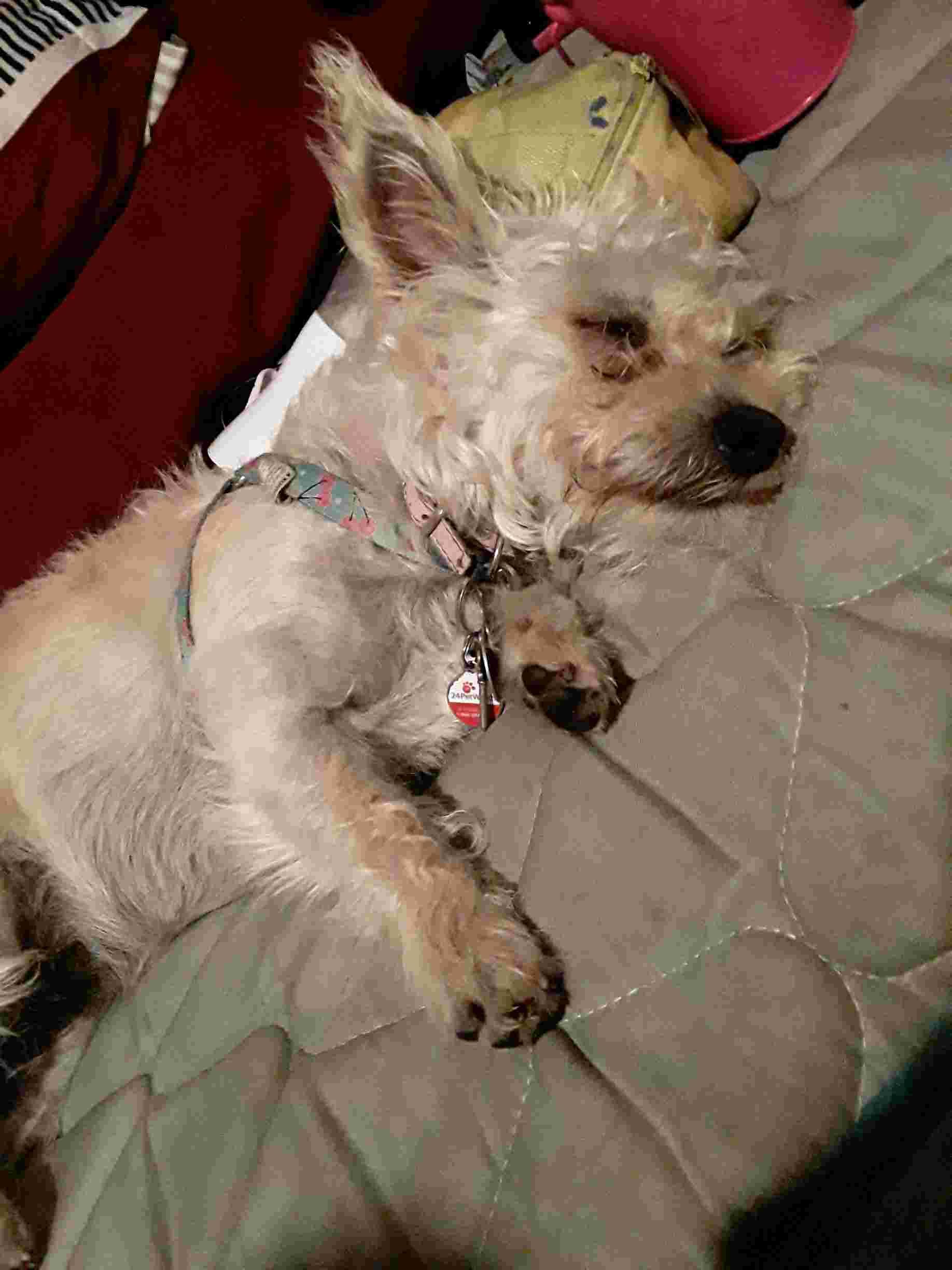 Question details sensitive content