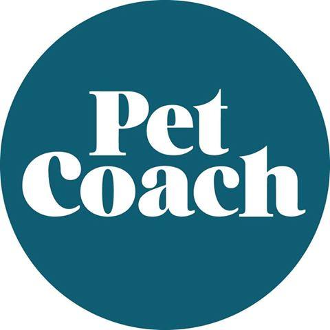 Author Profile Photo