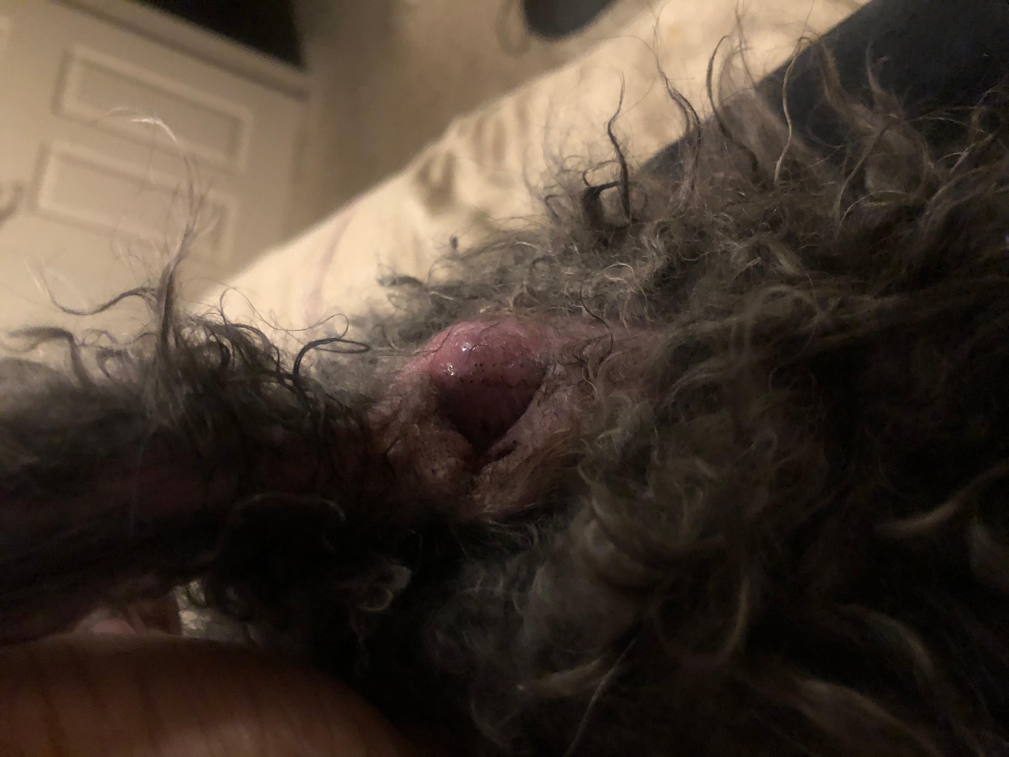 Question details sensitive content