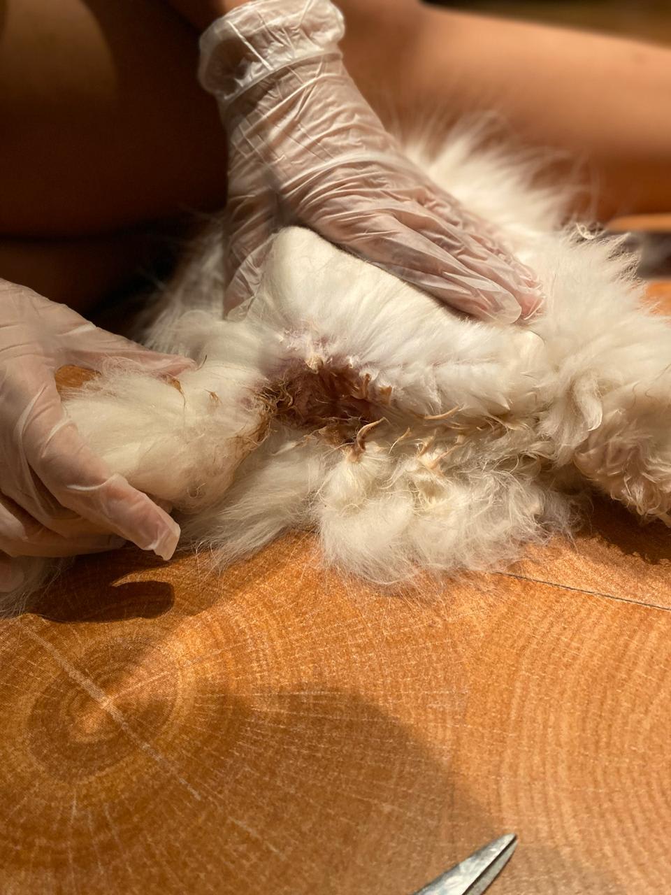 Question details sensitive content