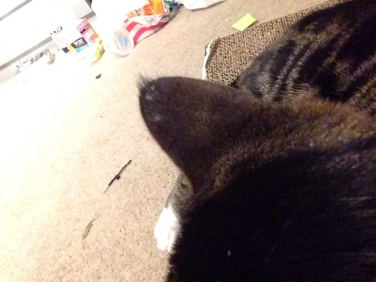 Question details sensitive content