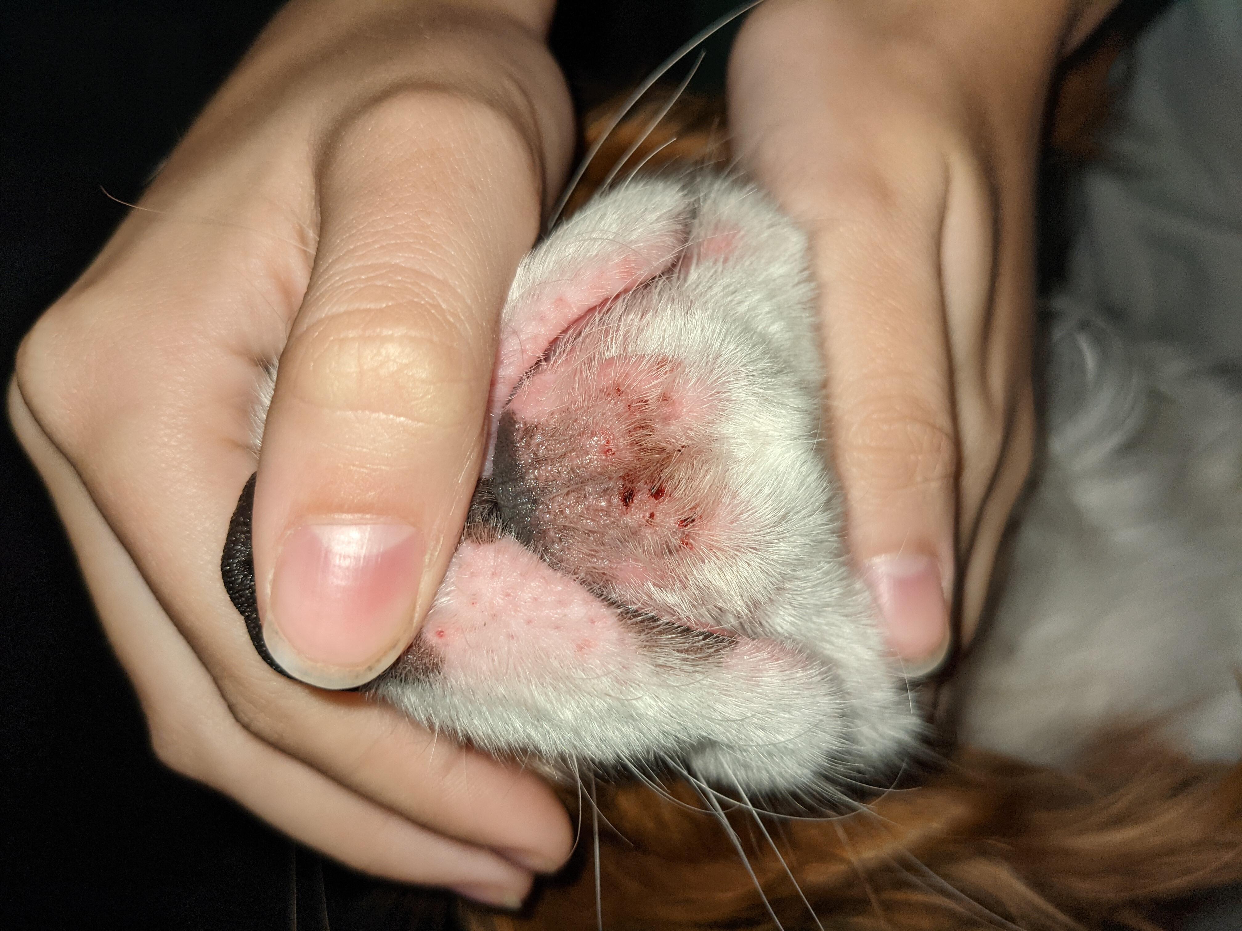 Question details sensitive content