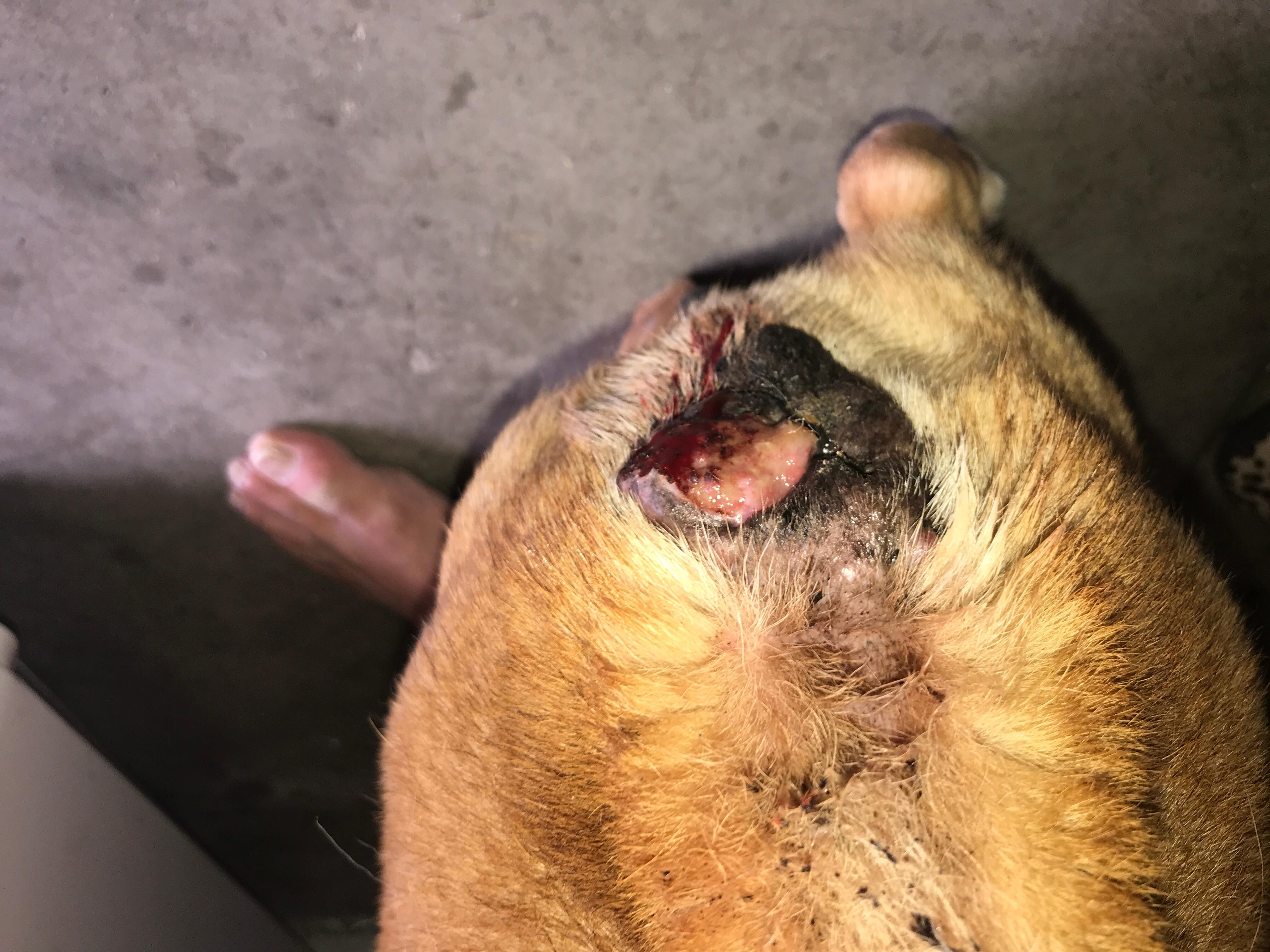 Question details sensitive content