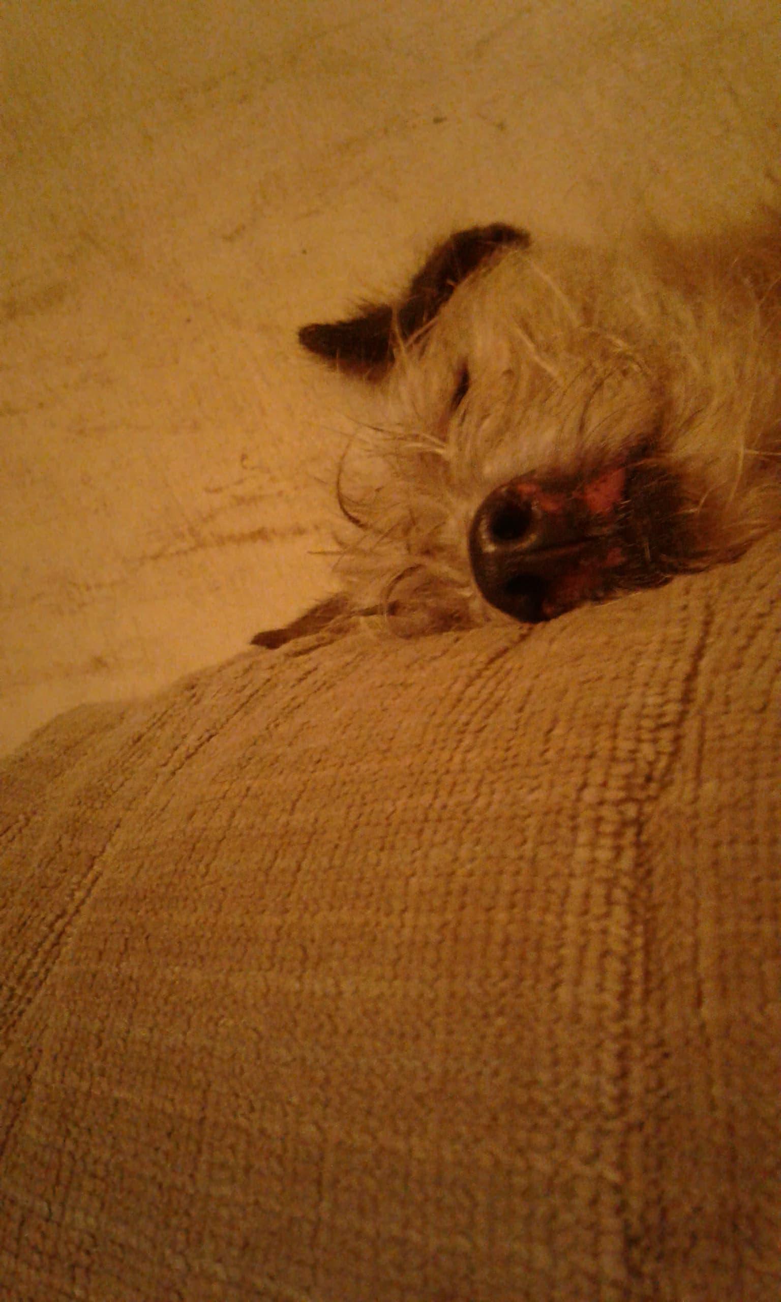 Question details sensitive content