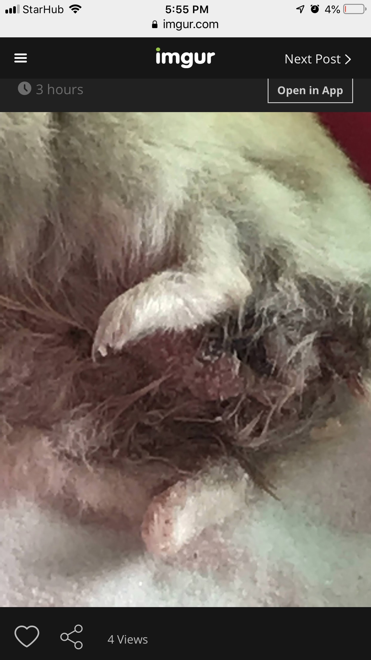 Question details sensitive content