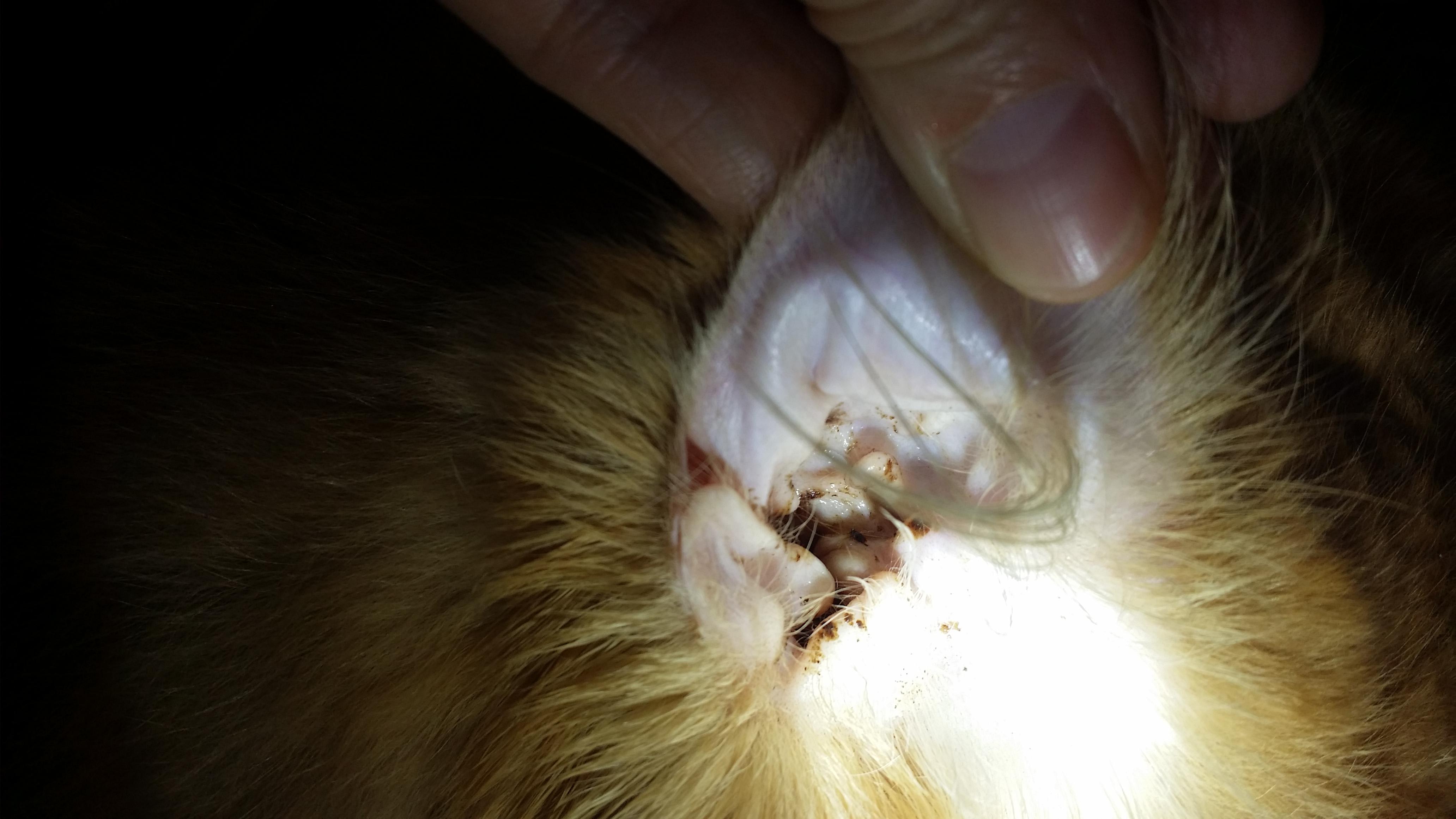 Question details sensitive content