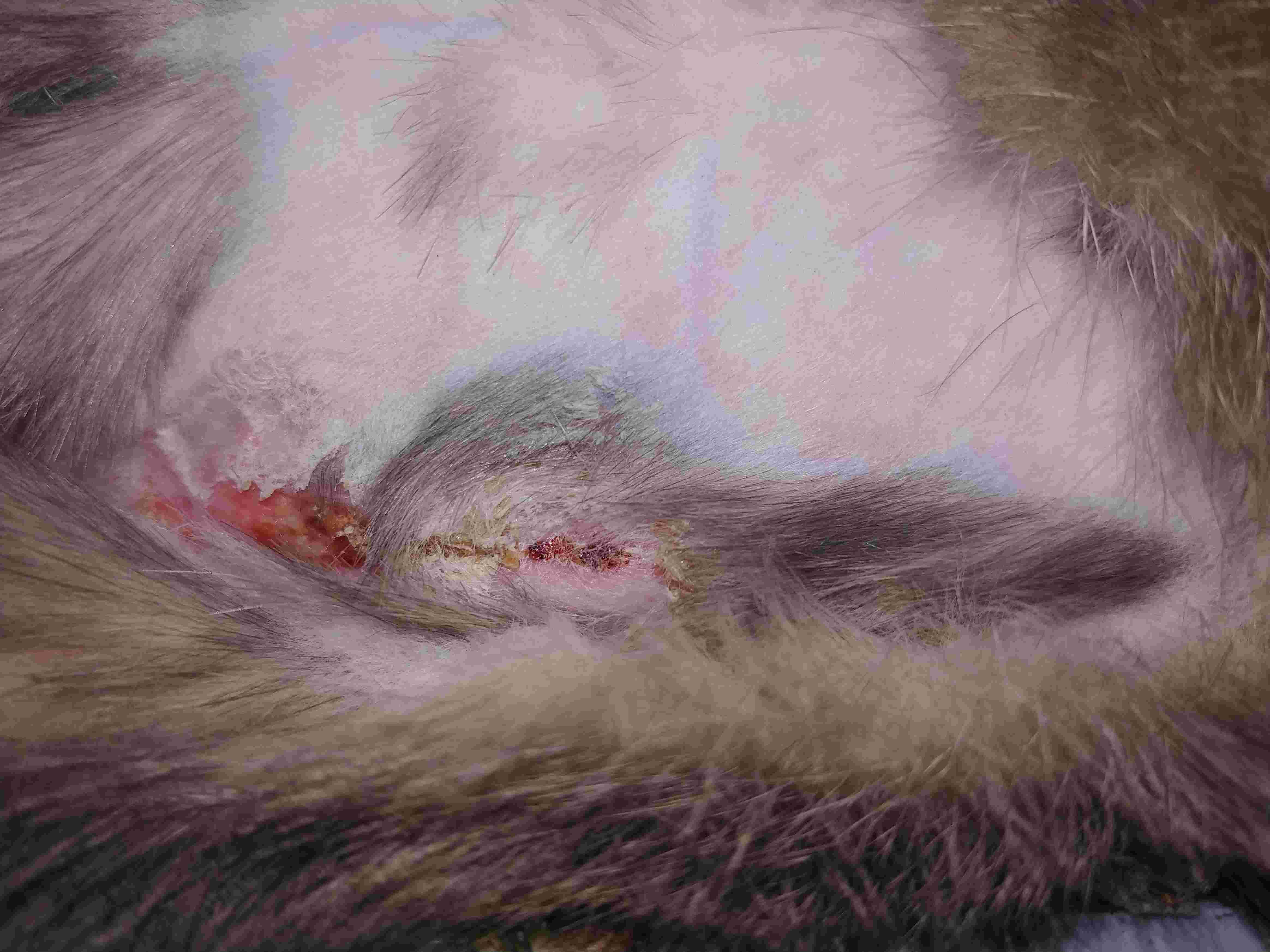 Question details sensitive content